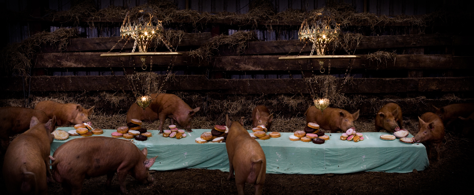  The Pig Feast  United Kingdom, 2010  10”x24” | 20”x48.5” | 40”x97” 