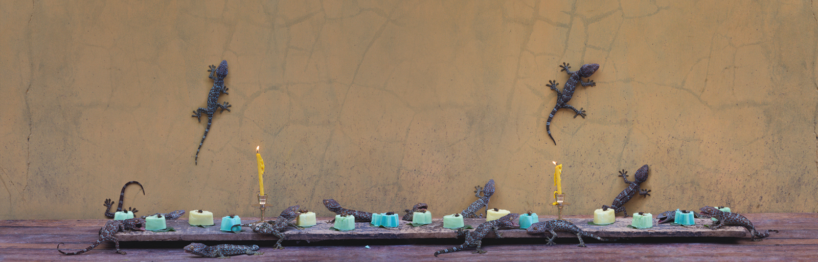  The Gecko Feast  Indonesia, 2015  10”x31” | 20”x62” | 40”x124” 