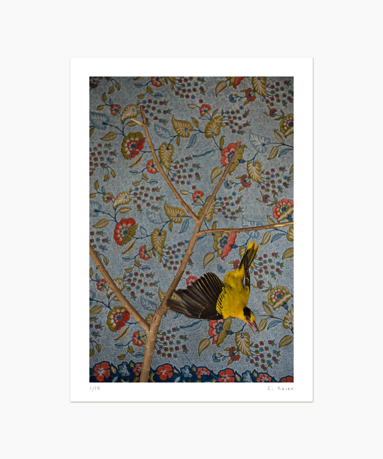 12web__E4R3066 copy.jpg