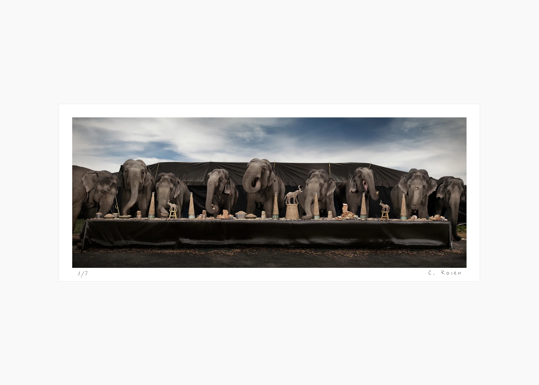 01websequence_theelephantfeast_NJ.jpg