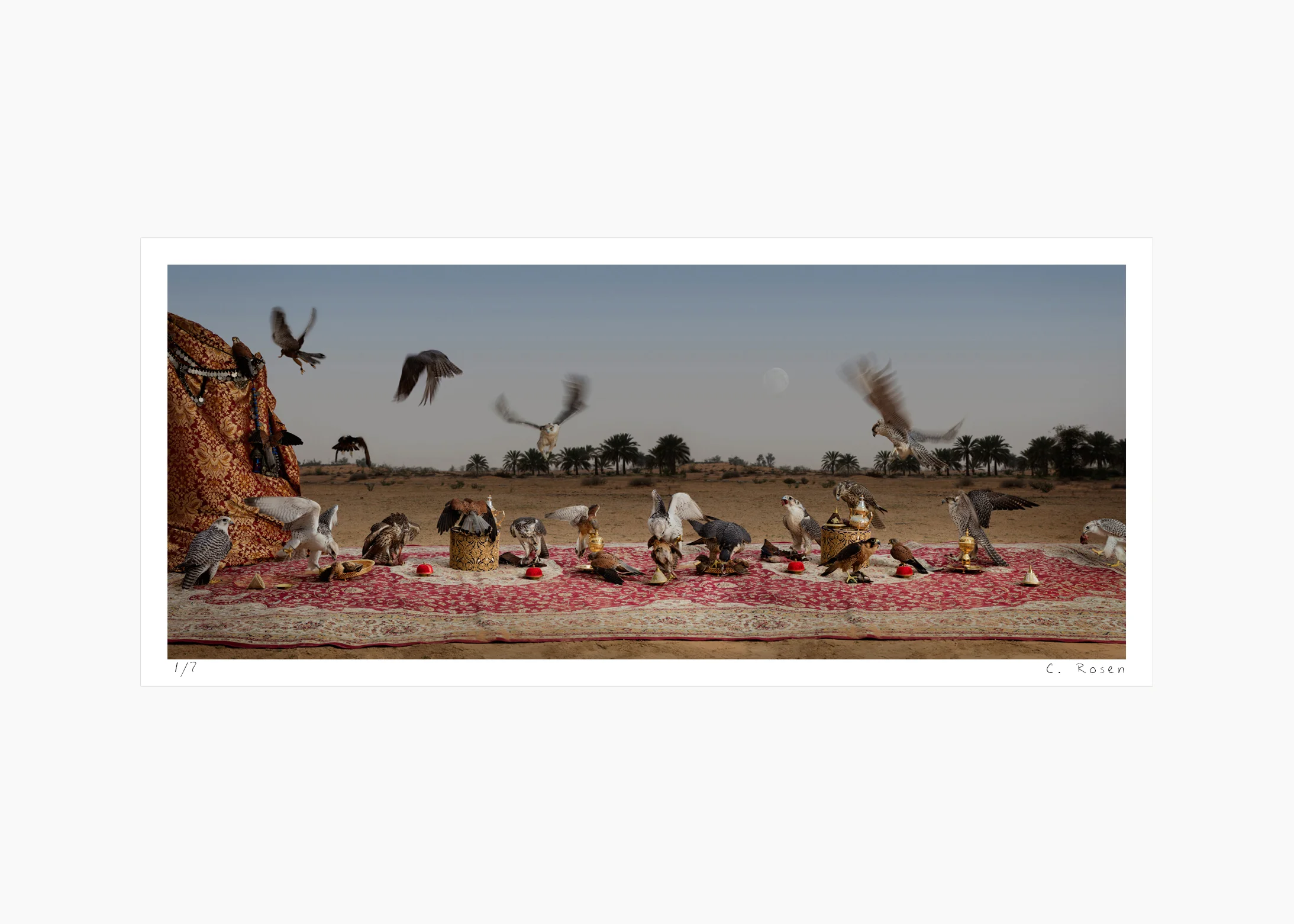 27websequence_thefalconfeast_dubai.jpg