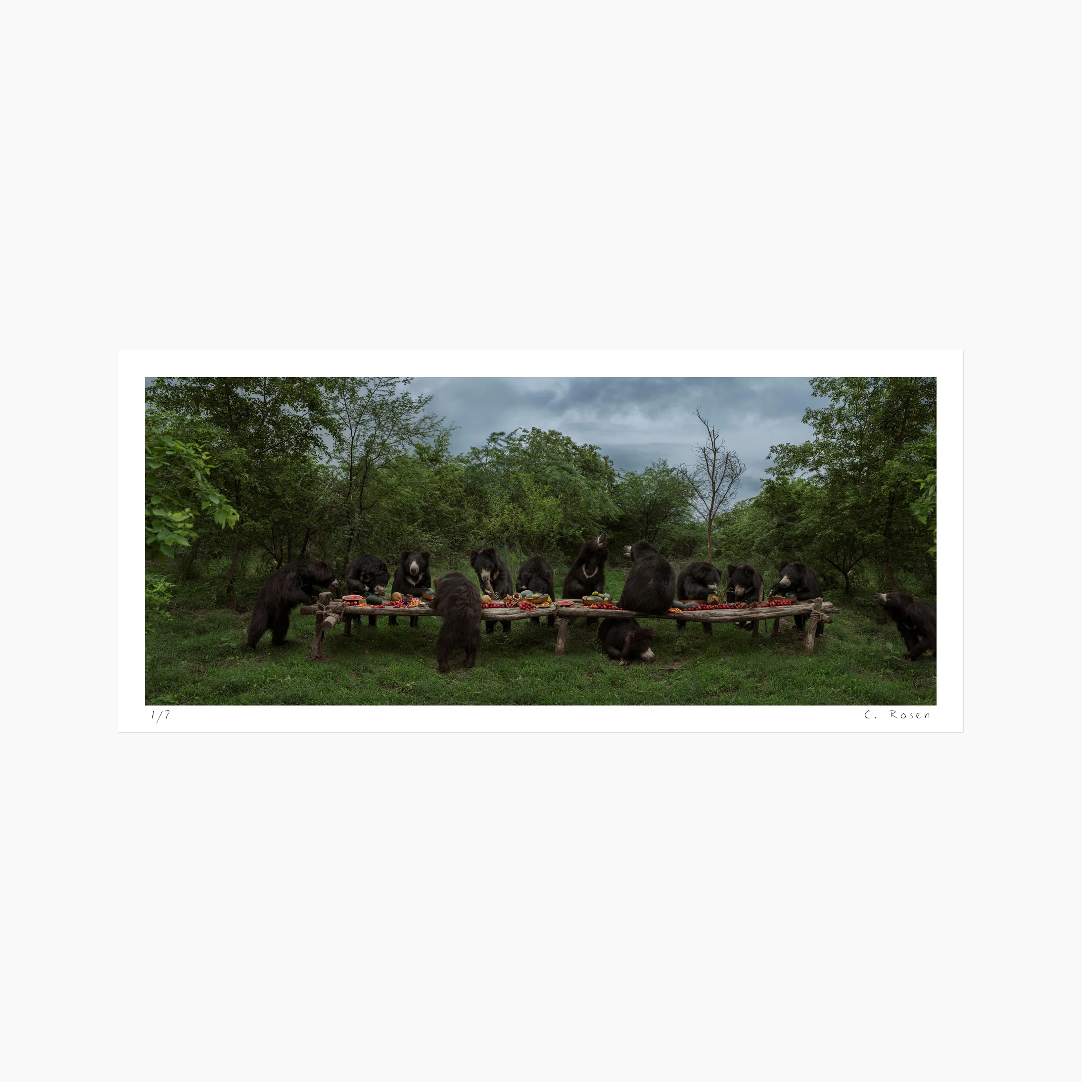 The Sloth Bear Feast