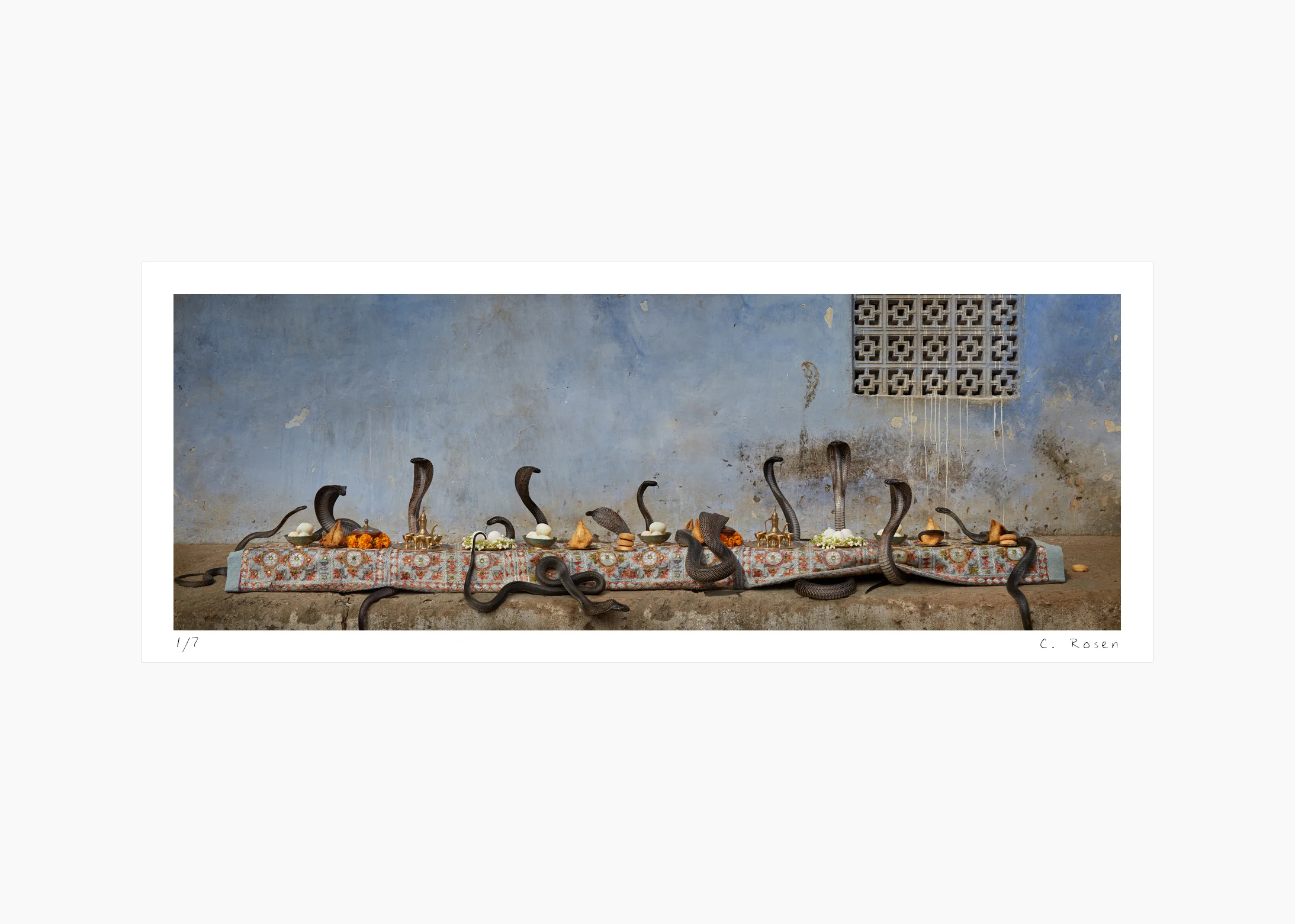 30websequence_06clairerosen_fantasticalfeasts_cobrafeast_india.jpg