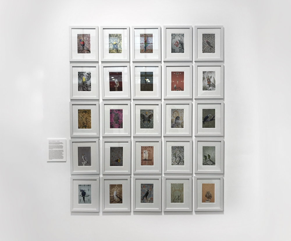 Biography — Claire Rosen