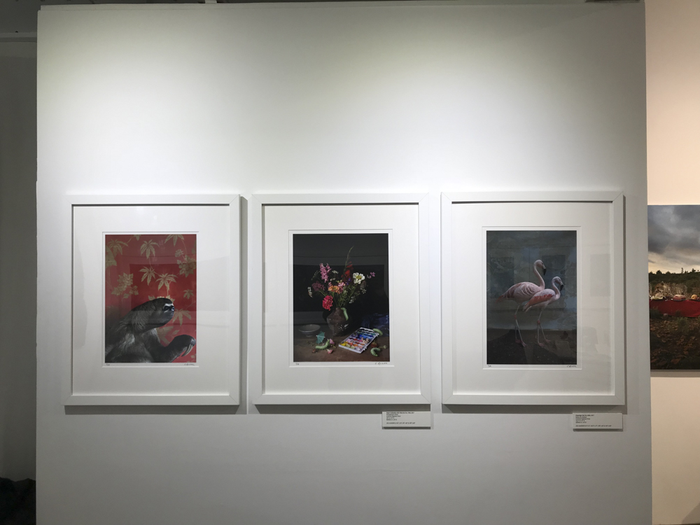 Biography — Claire Rosen