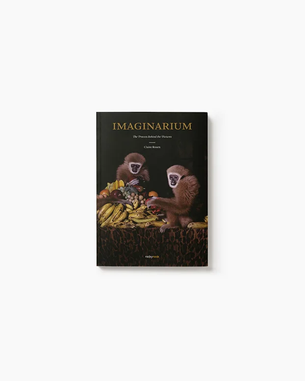bookcover2a.jpg