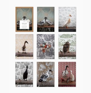 Stationery Collection  Notecard Sets — Claire Rosen