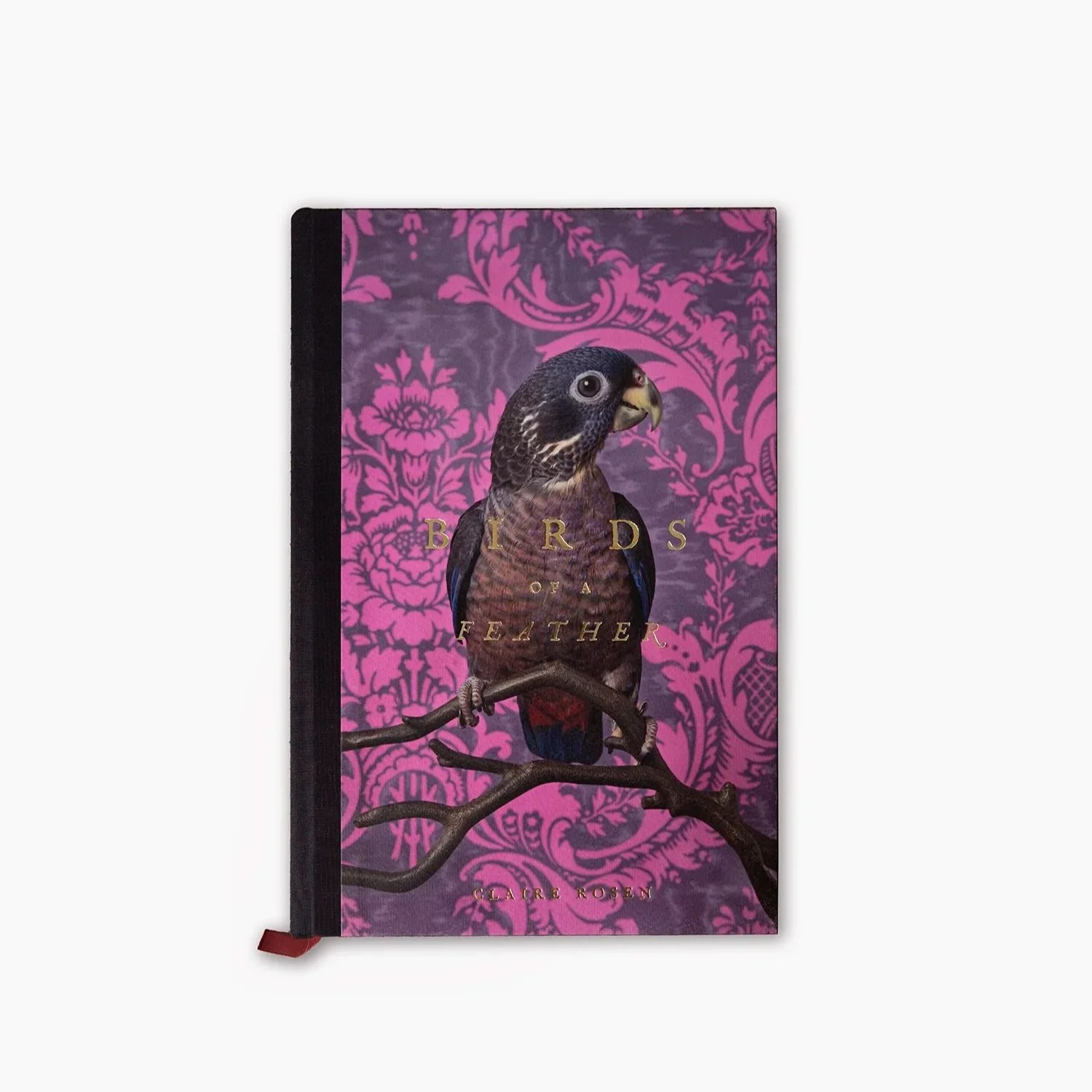 BirdsofAFeather_Cover.jpg