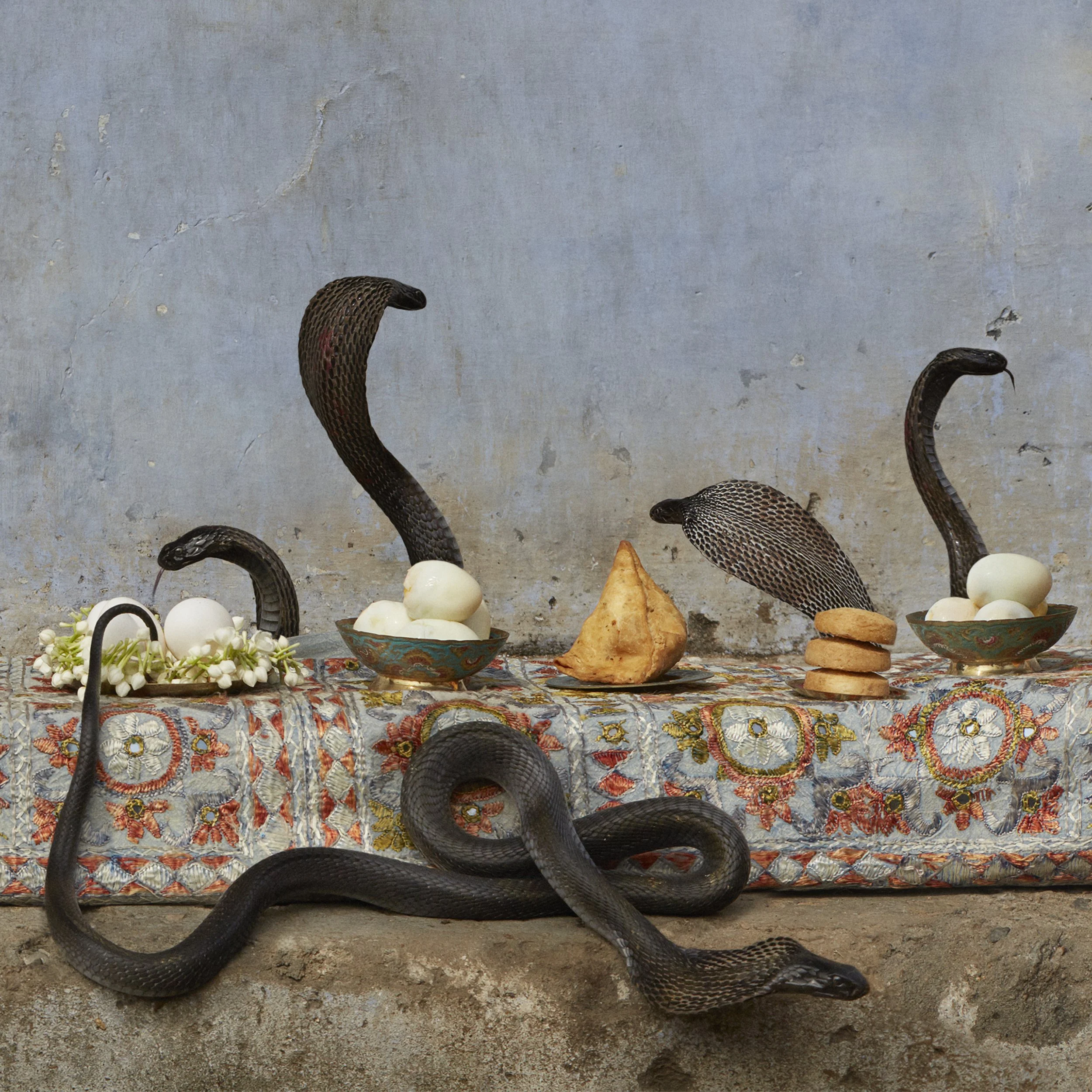CR_CobraFeast_detail.jpg