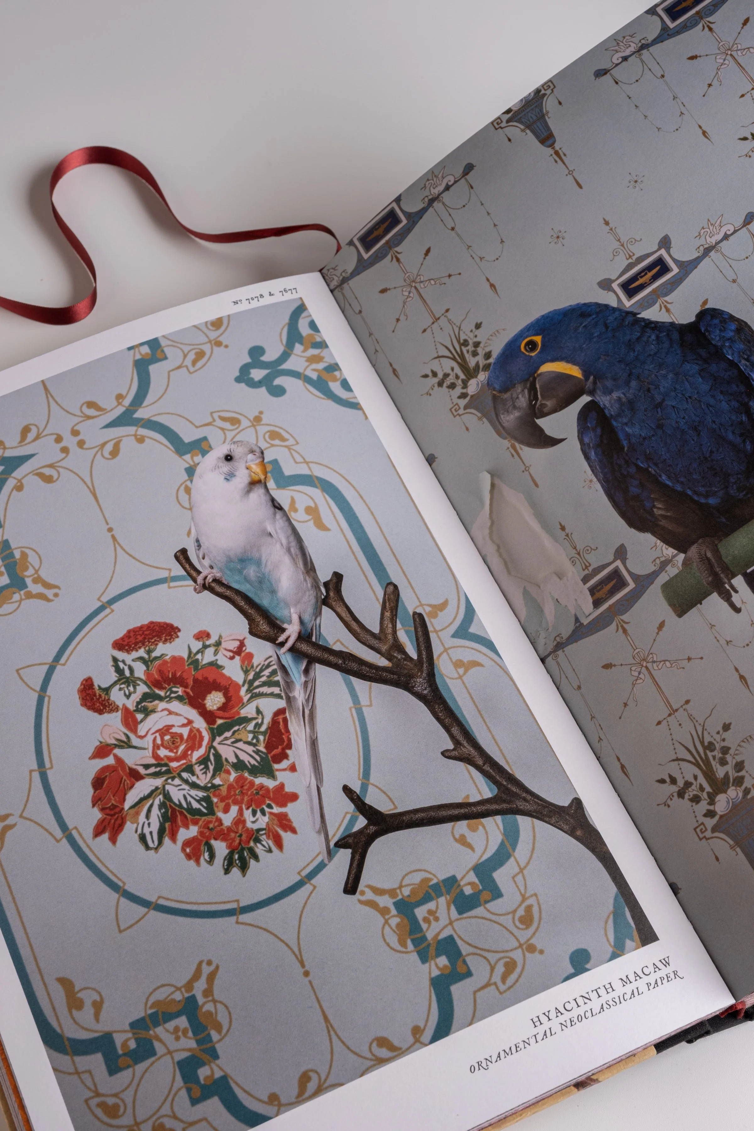 BirdsofaFeather_ClaireRosen_Book_DSF9823.jpg