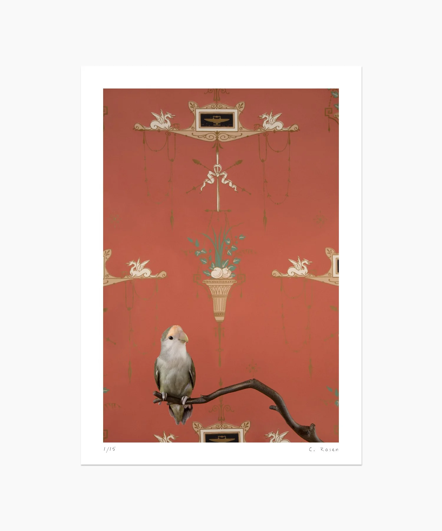 Rosy-Faced Lovebird No. 7548