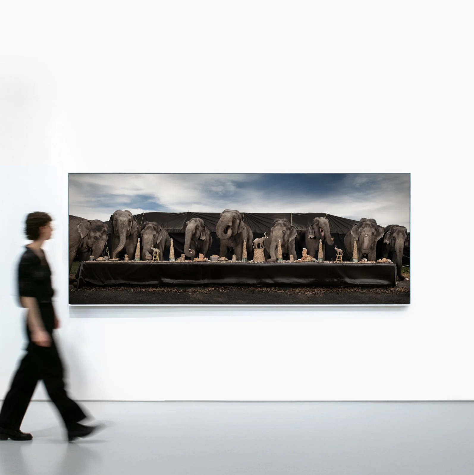 TFF_Gallery_Elephant.jpg