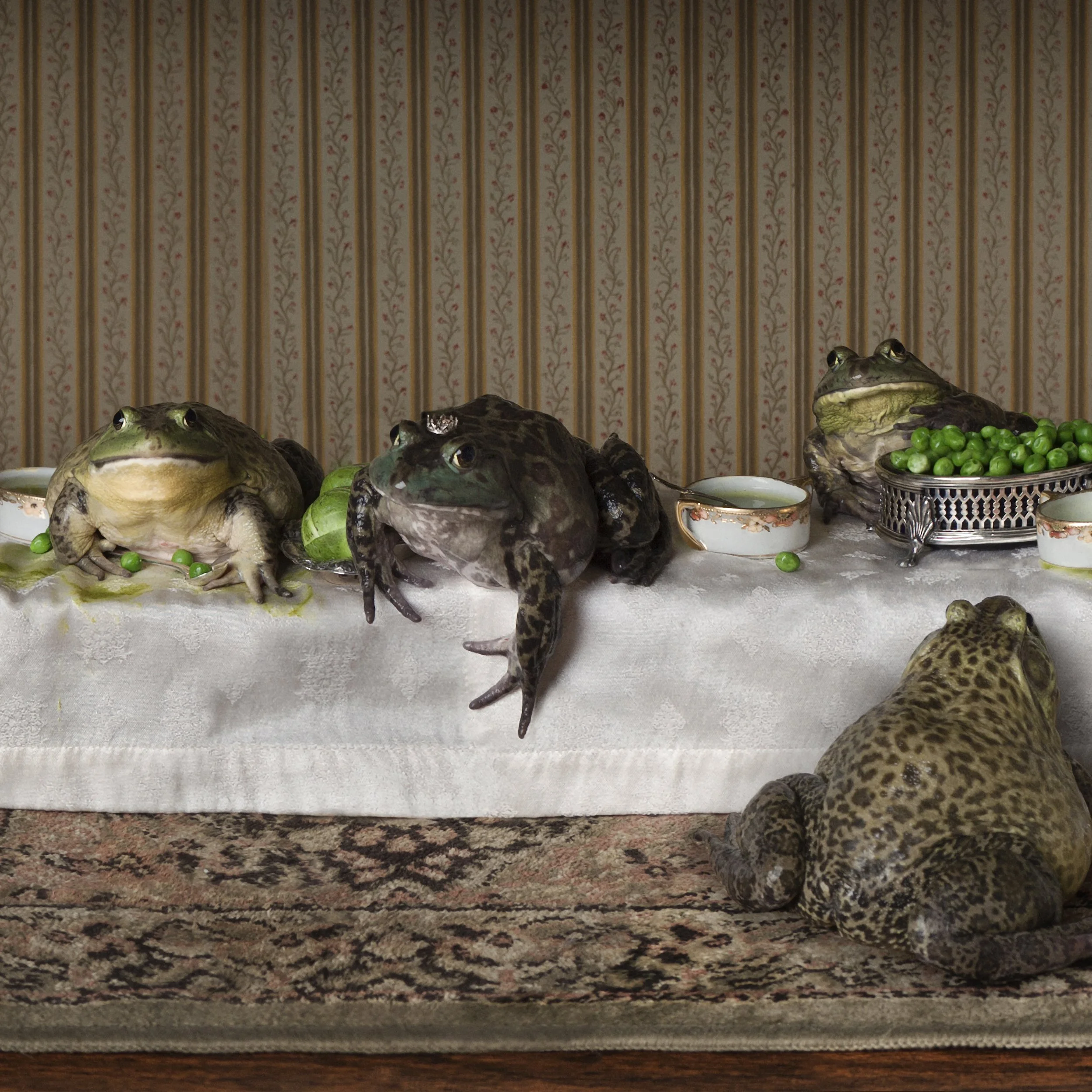 CR_bullfrog_feast_40Inch.jpg