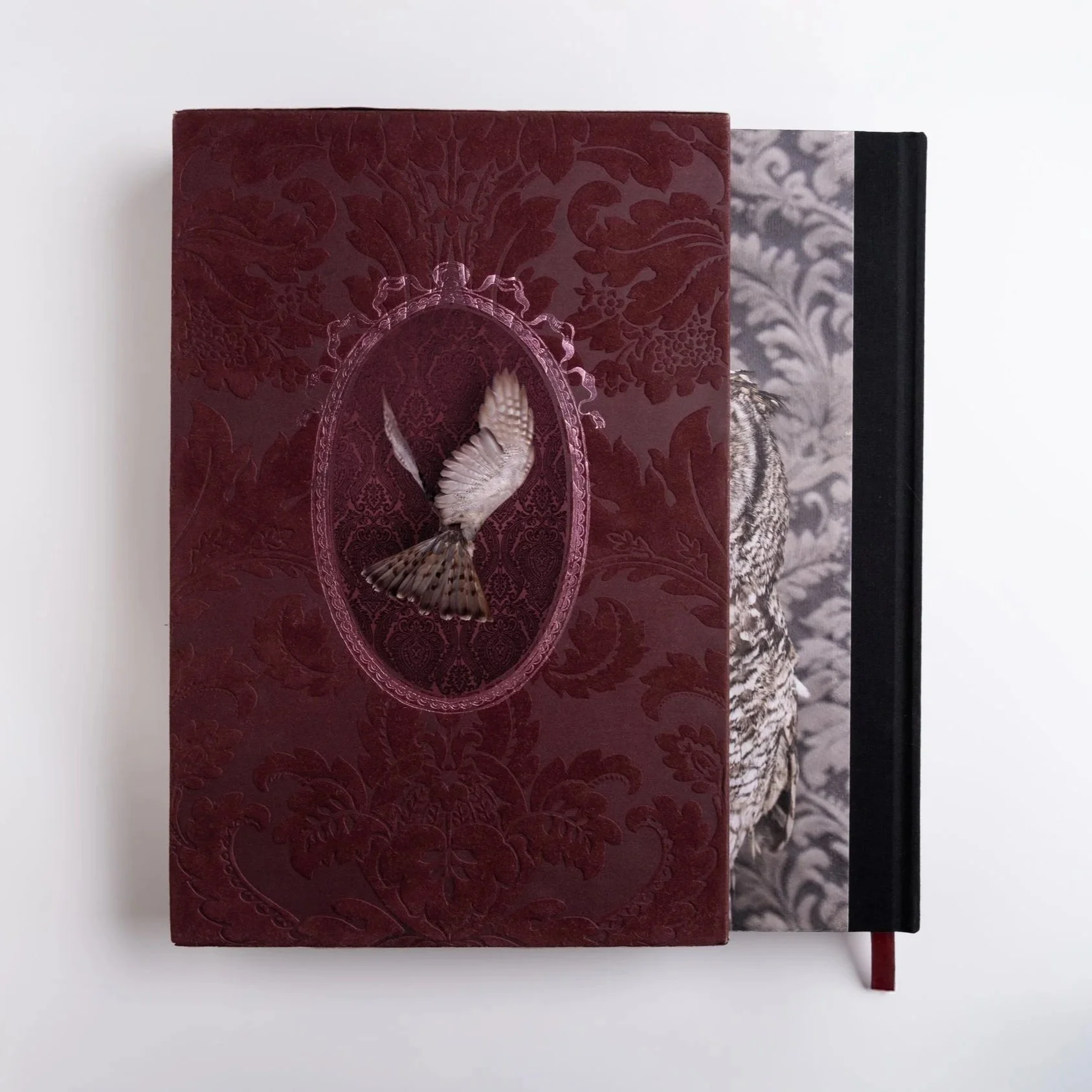 BirdsofaFeather_ClaireRosen_BookLE_Slipcase_Back.jpg