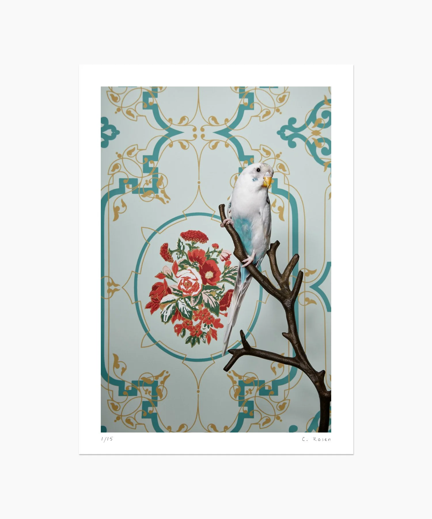 Parakeet No. 7078