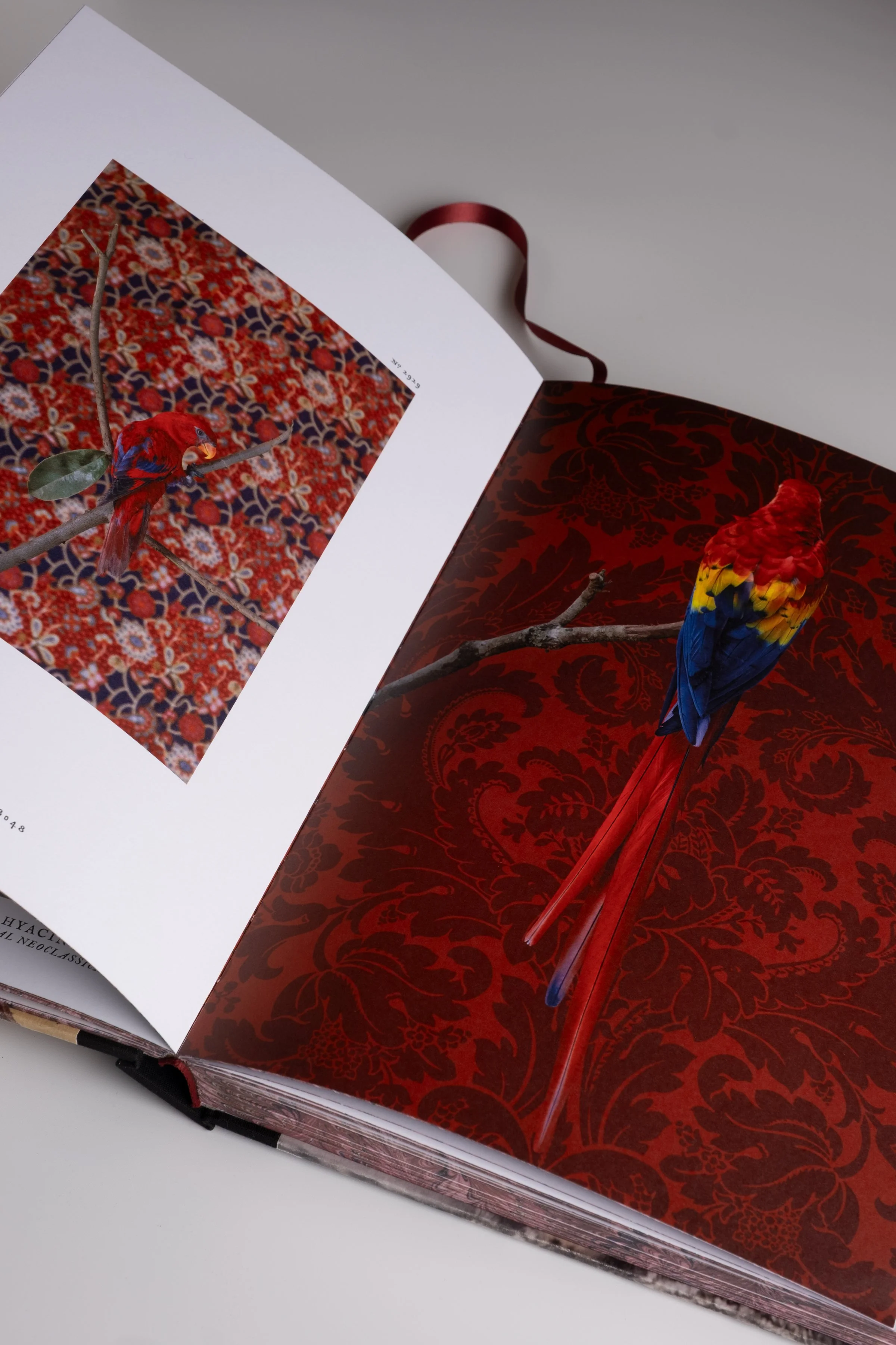 BirdsofaFeather_ClaireRosen_Book_DSF9827.jpg