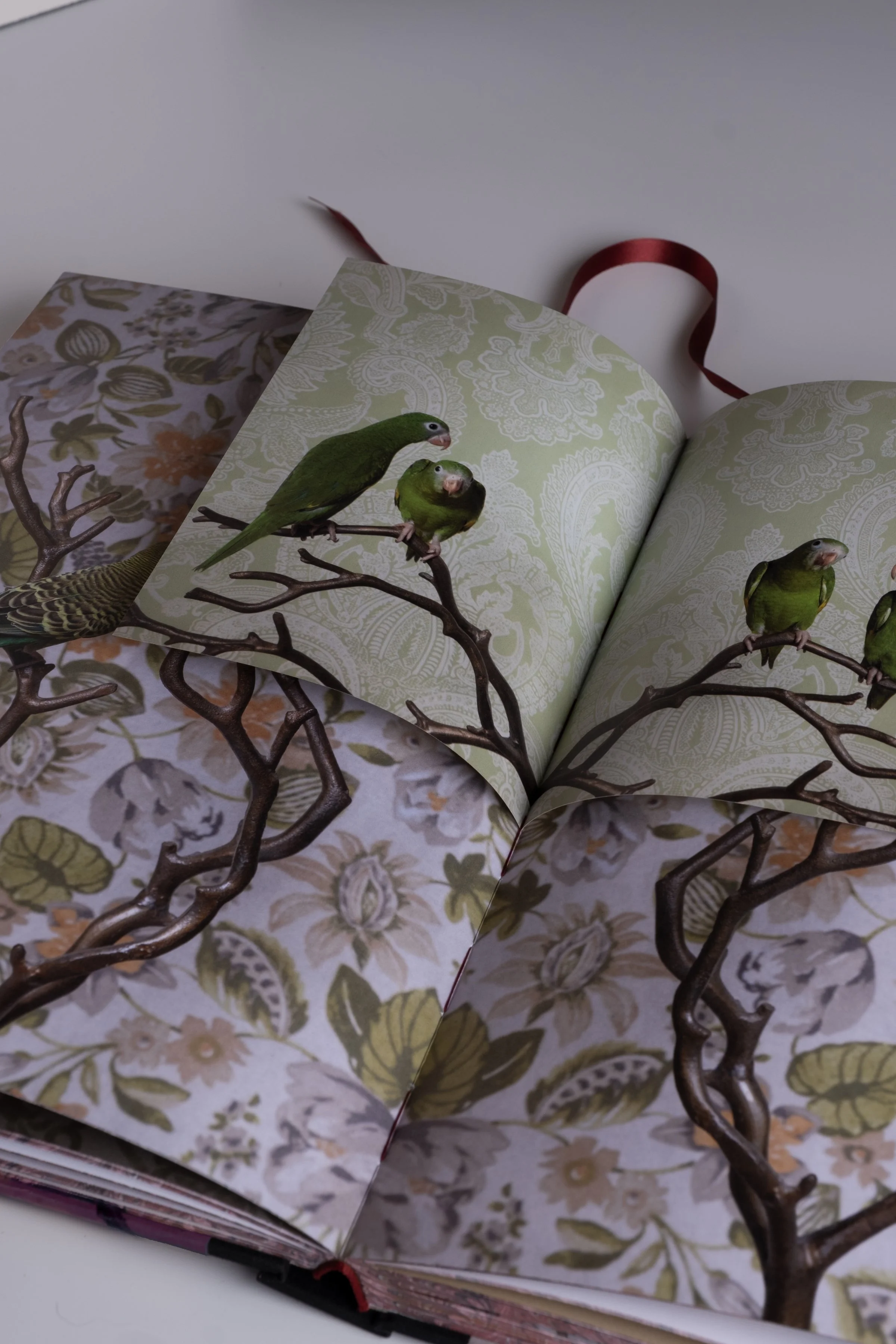 BirdsofaFeather_ClaireRosen_Book_DSF9836.jpg