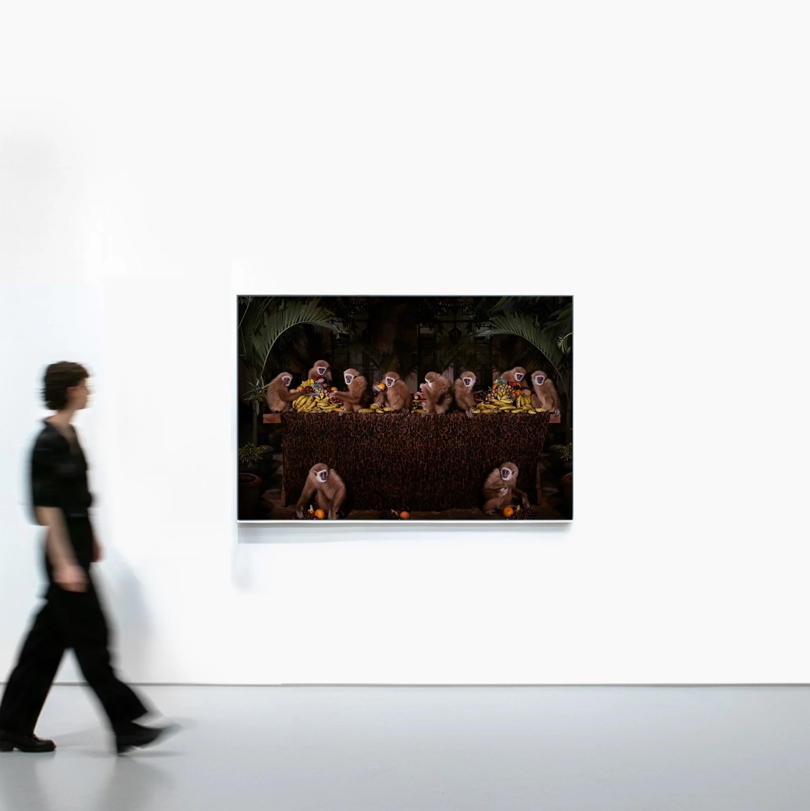 TFF_Gallery_LarGibbon.jpg