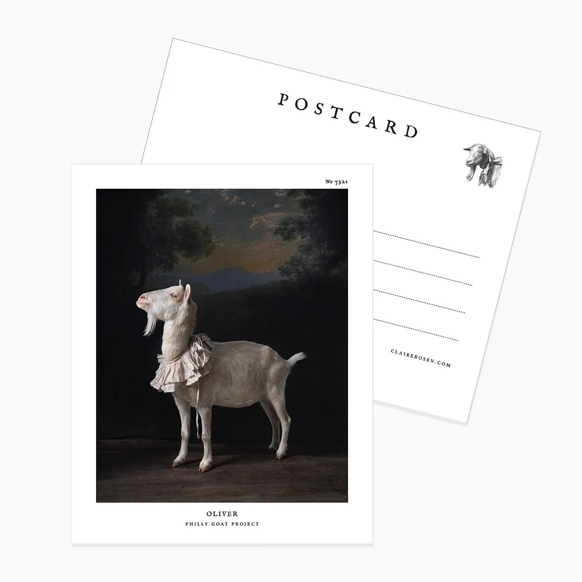 A Gathering of Goats — Claire Rosen