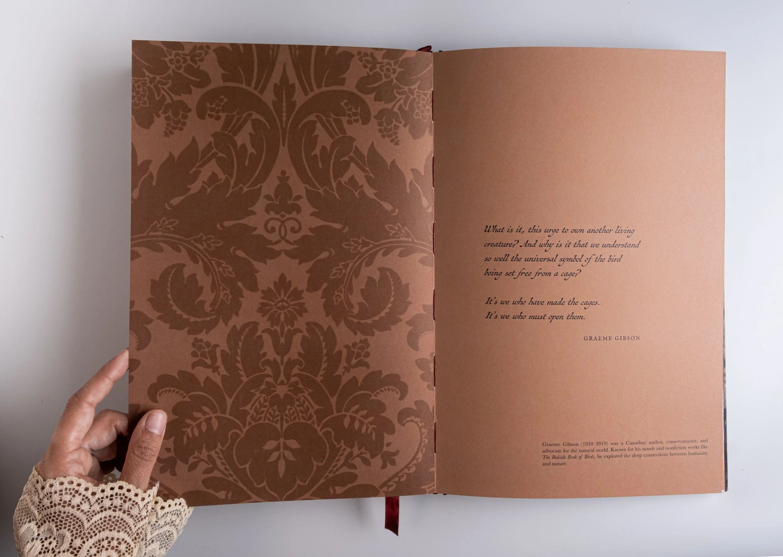 BirdsofaFeather_ClaireRosen_Book_DSF9757.jpg