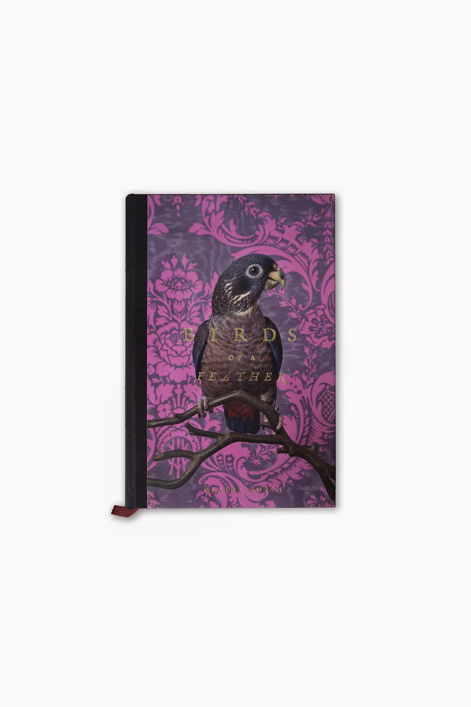 BIRDS OF A FEATHER BOOK
