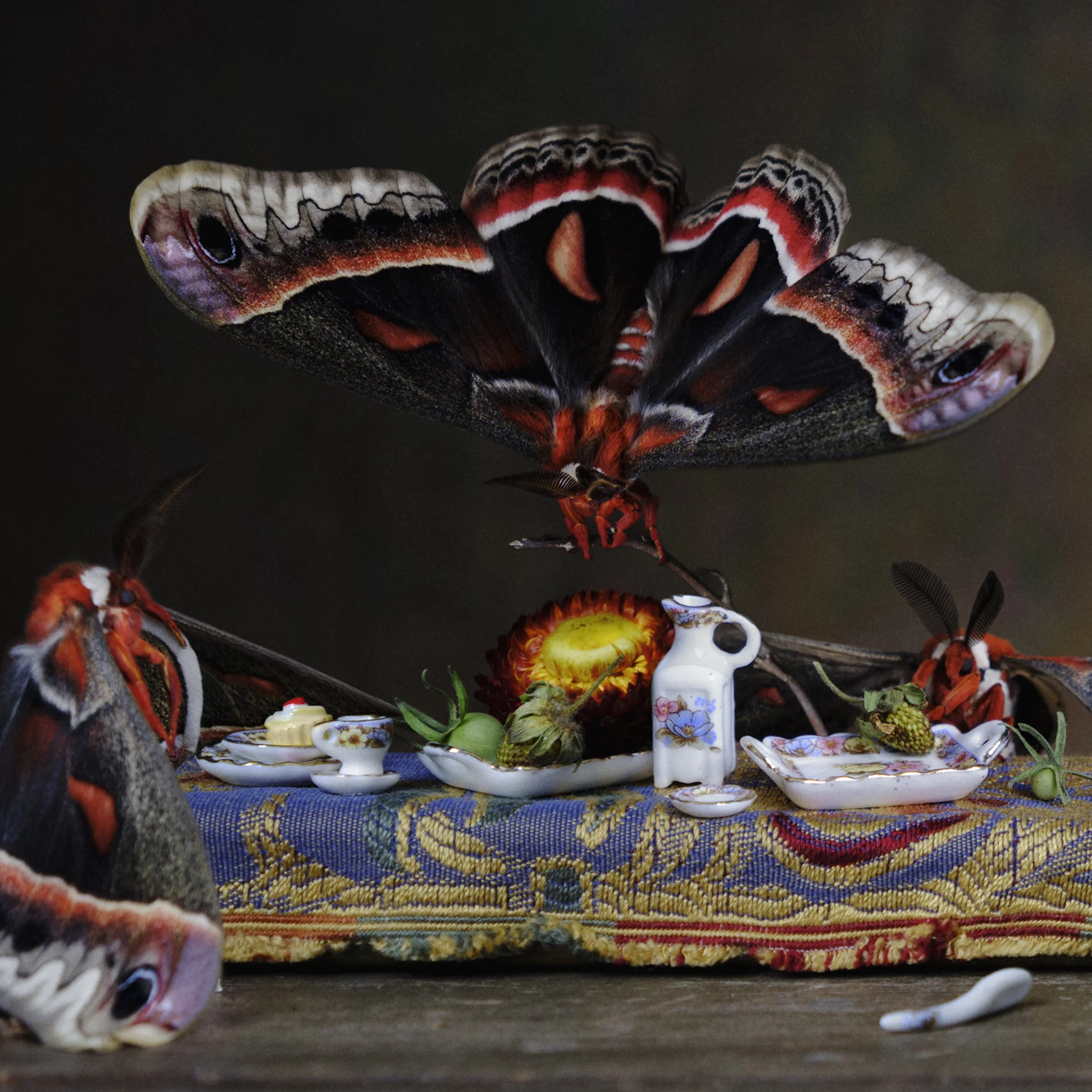 CR_CecropiaMothFeast_detail.jpg