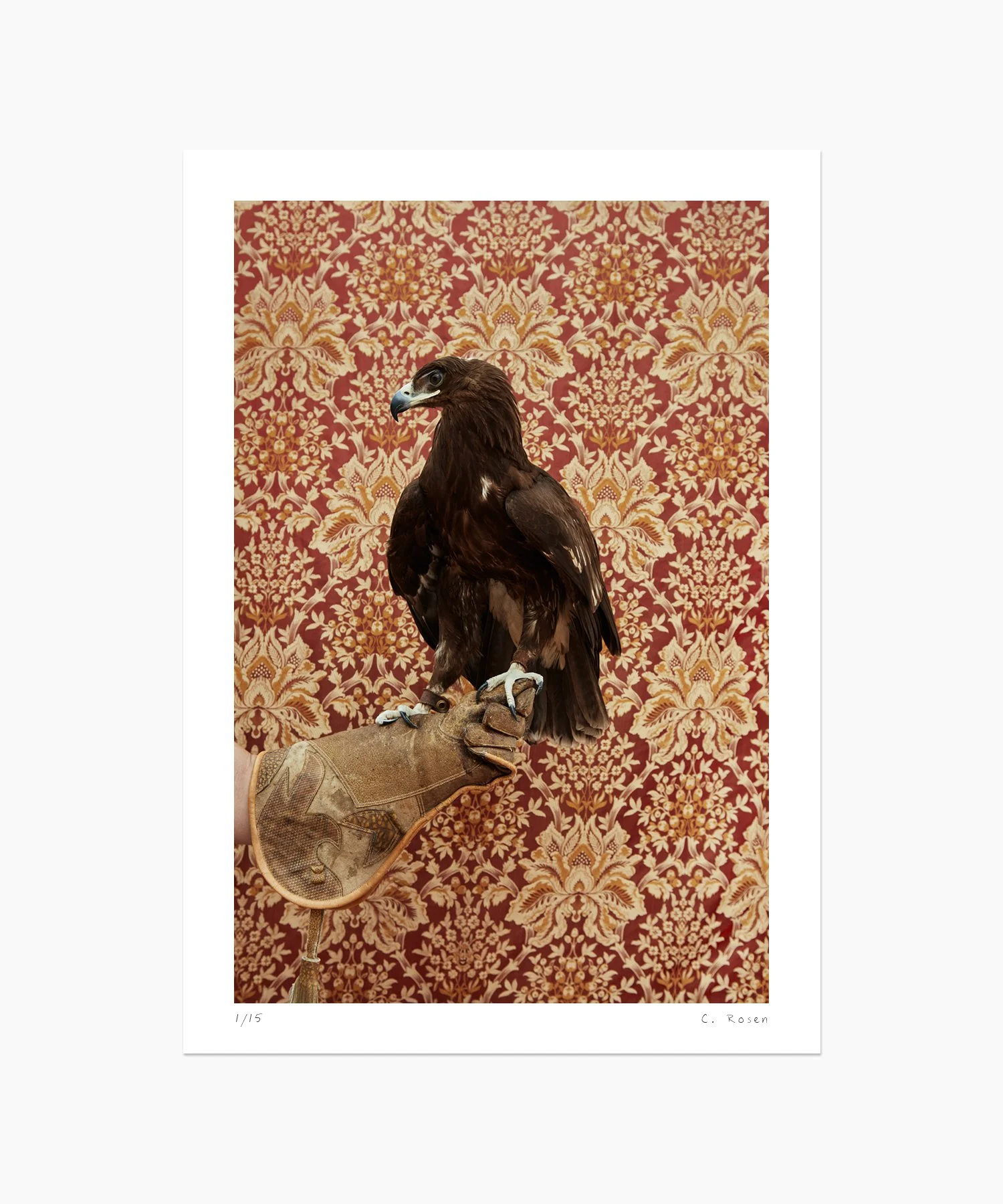 CR_webtemplate_BOP_4820_GoldenEagle_2016.jpg