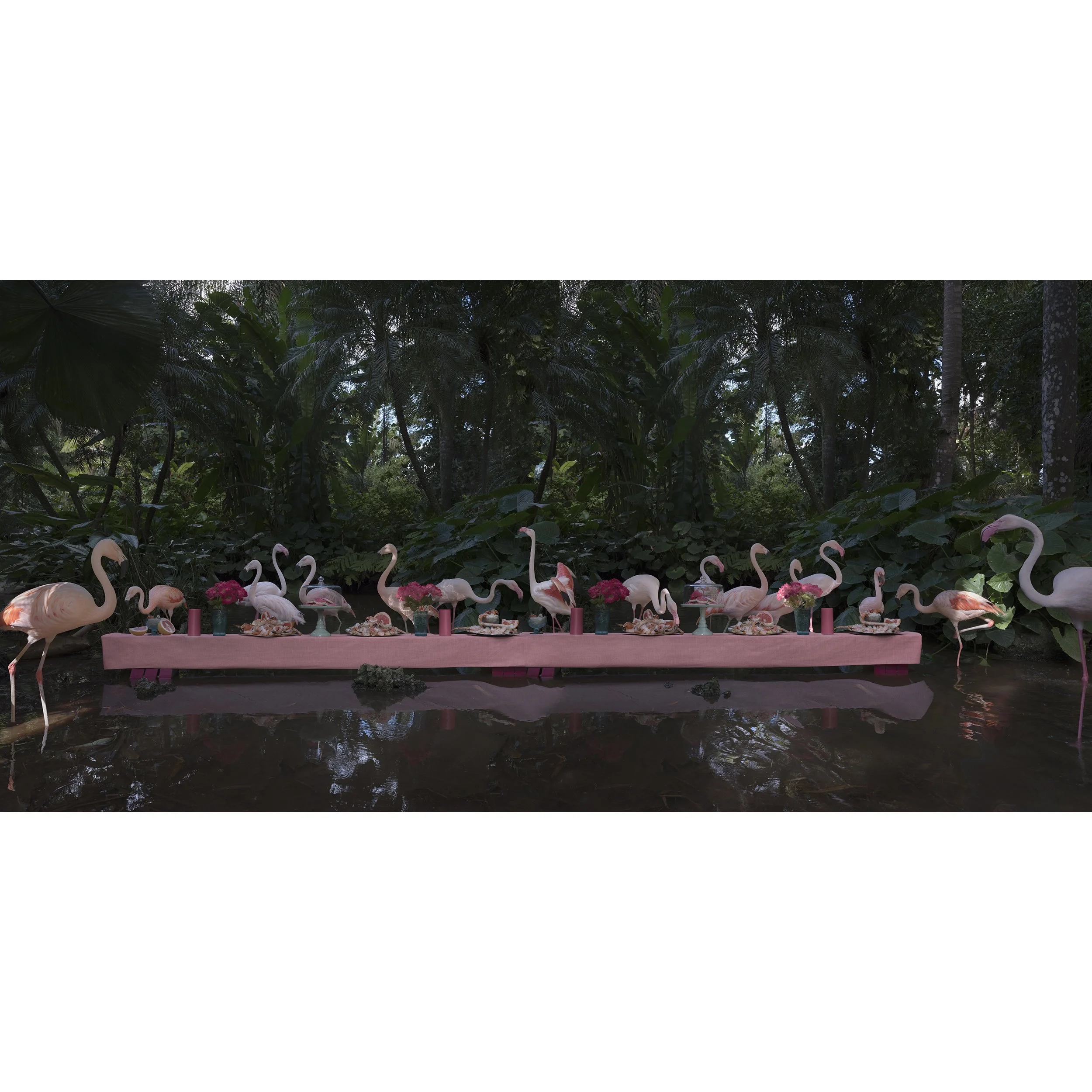 CR_Flamingos_40x82_WS.jpg