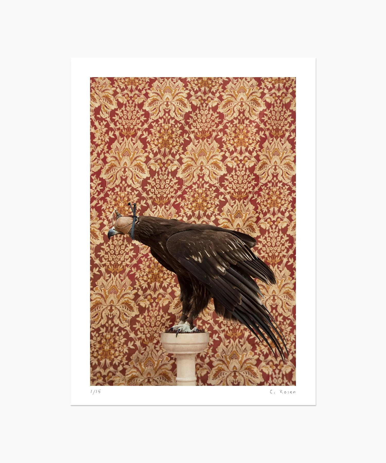 CR_webtemplate_BOP_4810_GoldenEagle_2016.jpg