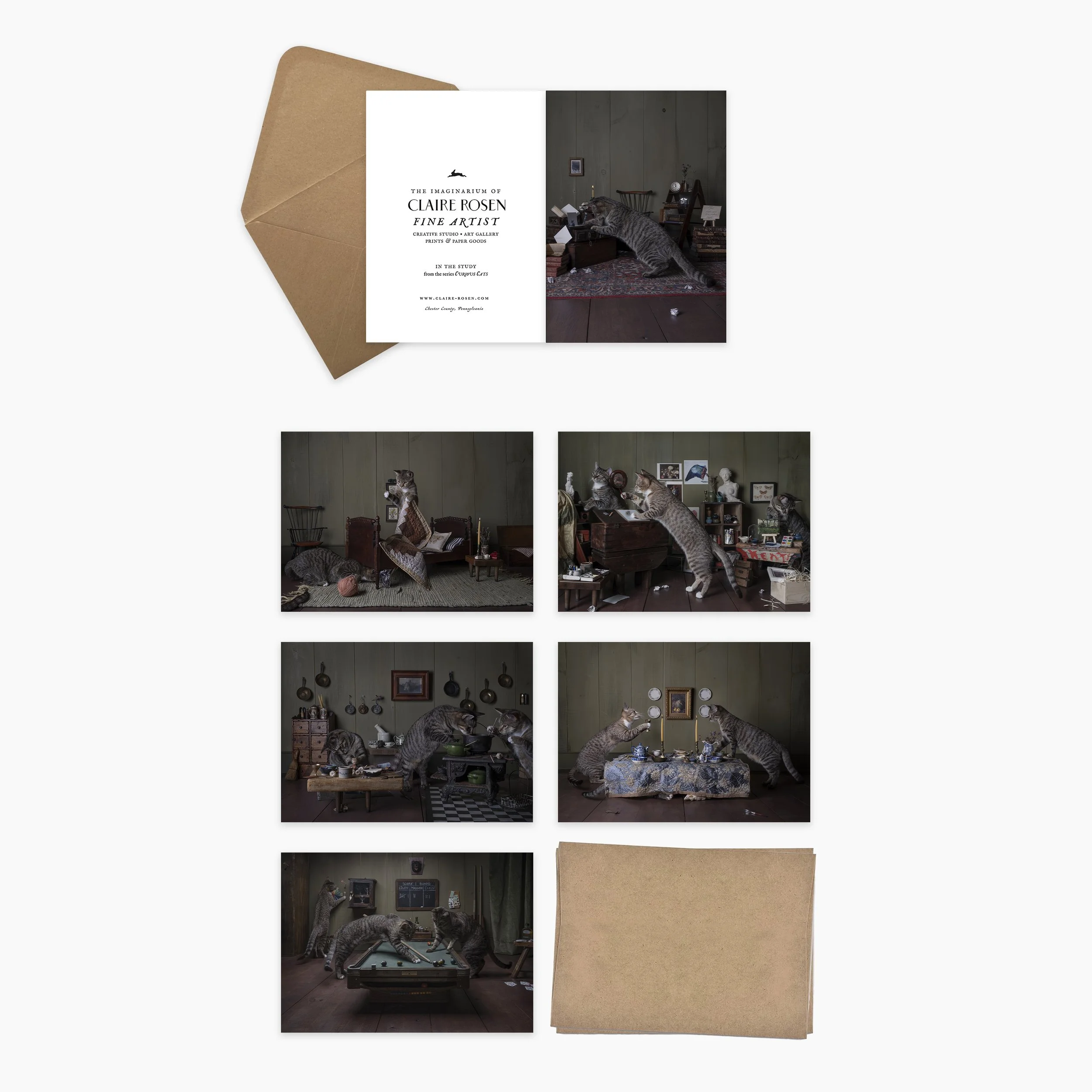 Stationery Collection | Curious Cats
