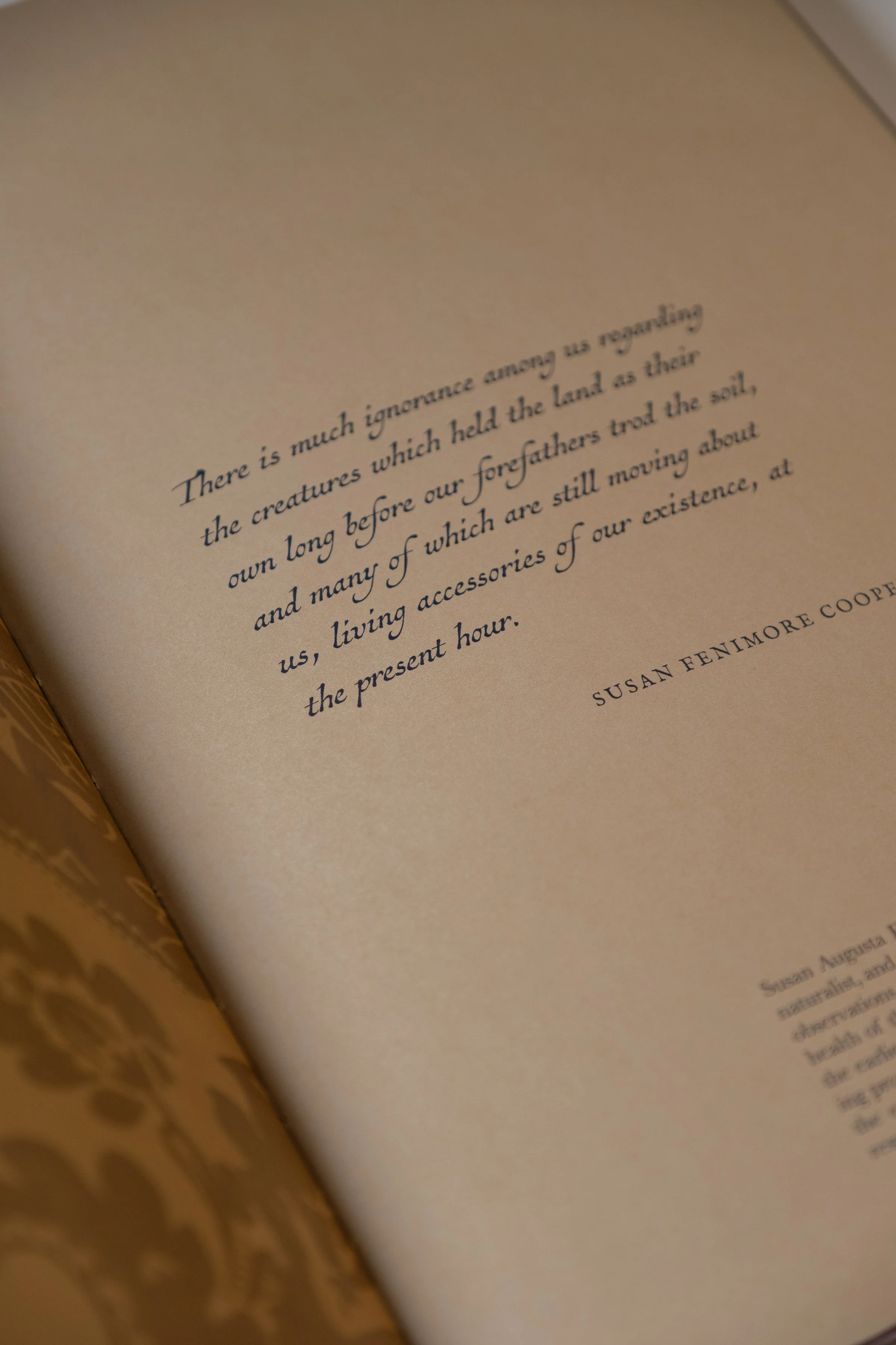 BirdsofaFeather_ClaireRosen_Book_DSF9857.jpg