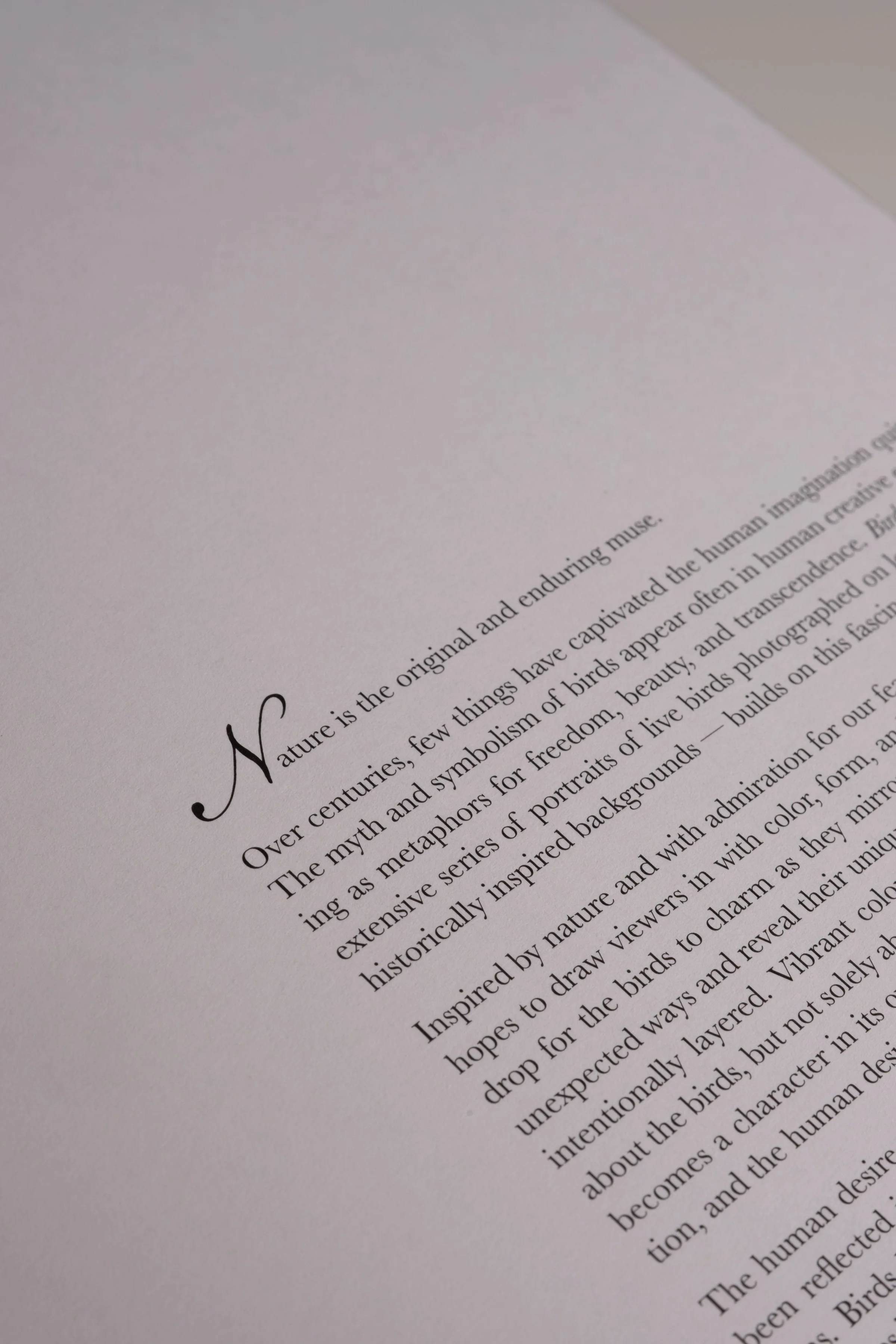 BirdsofaFeather_ClaireRosen_Book_DSF9779.jpg