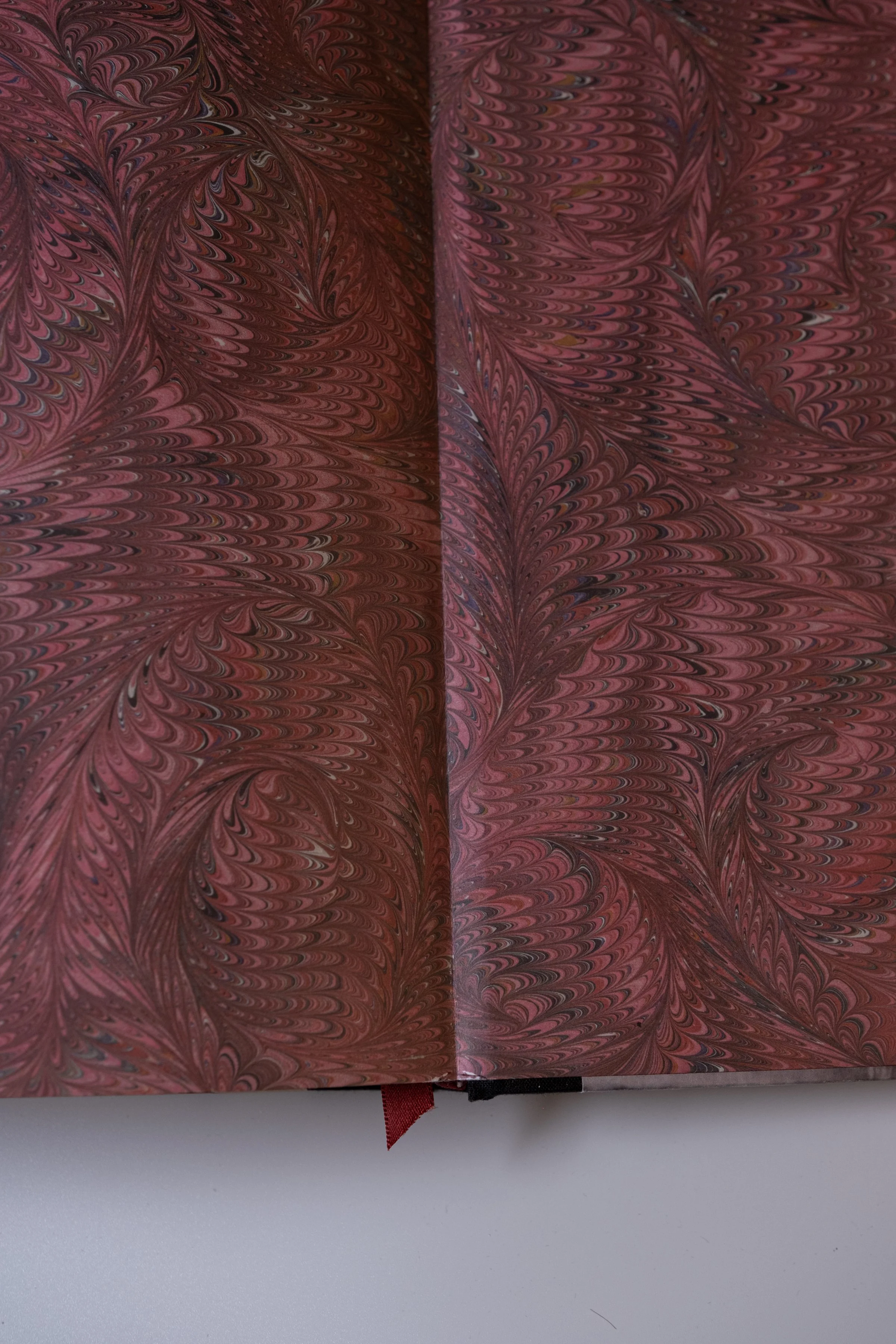 BirdsofaFeather_ClaireRosen_Book_DSF9876.jpg