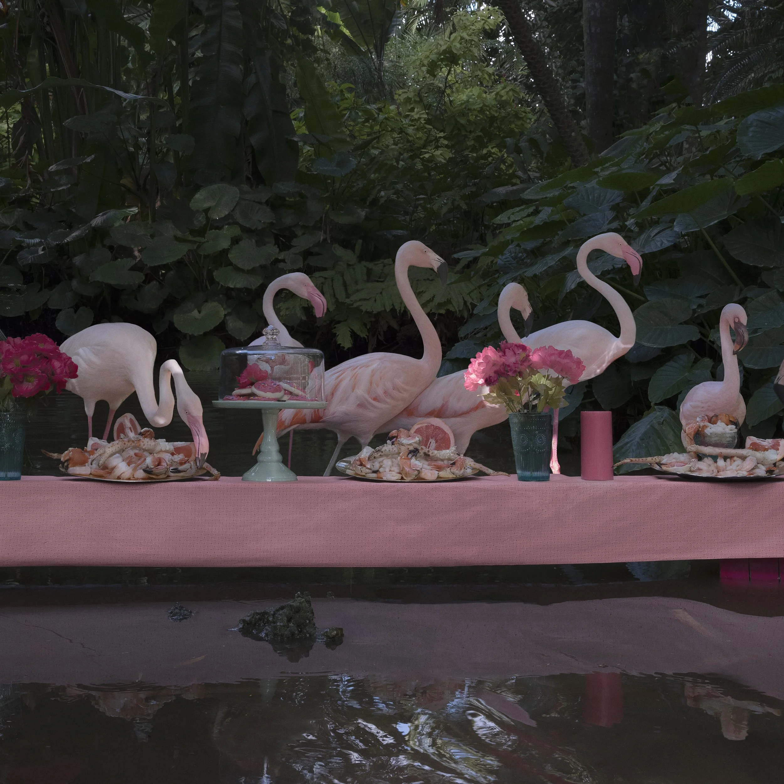 CR_Flamingos_40x82.jpg