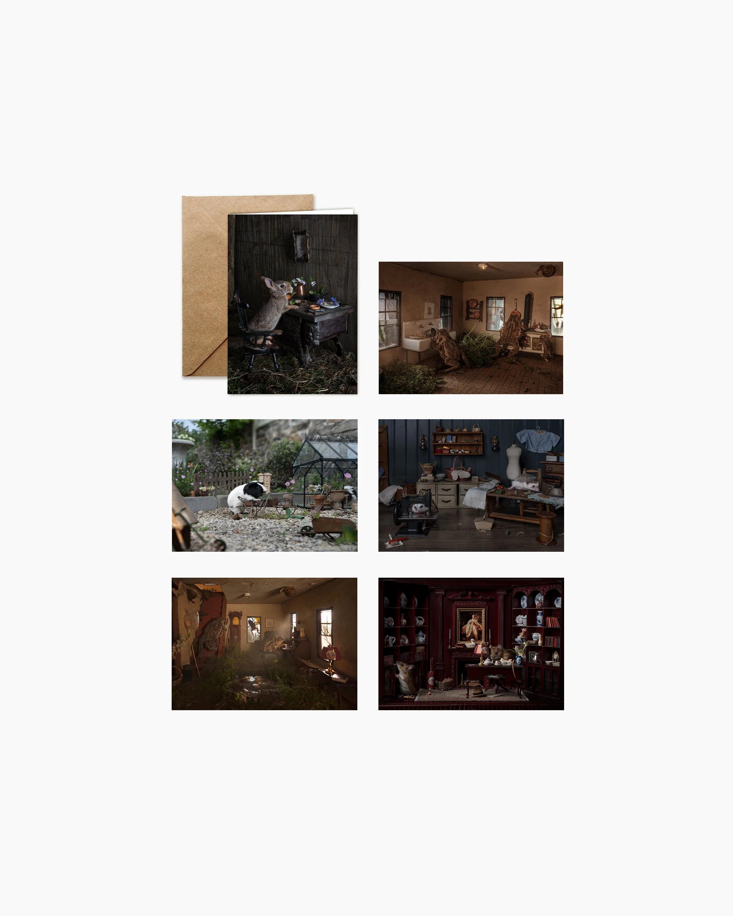 Stationery Collection | Animals at Home