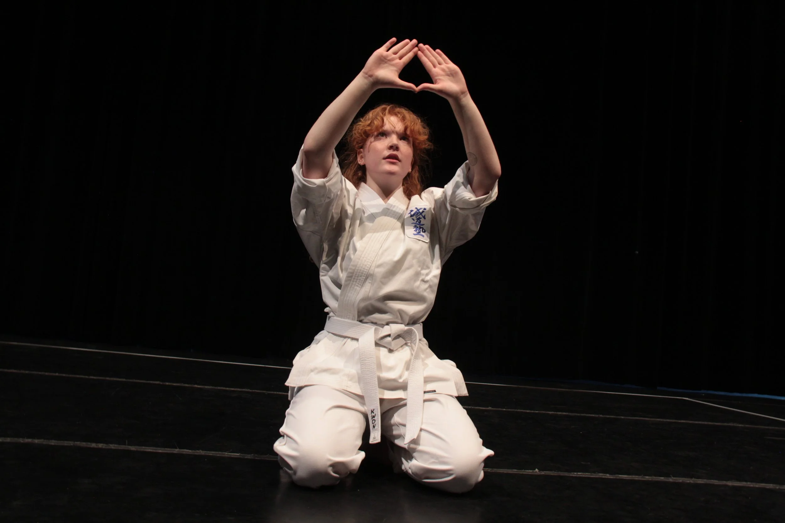 Jump the Dragon: Martial Arts and Living in a Female Body