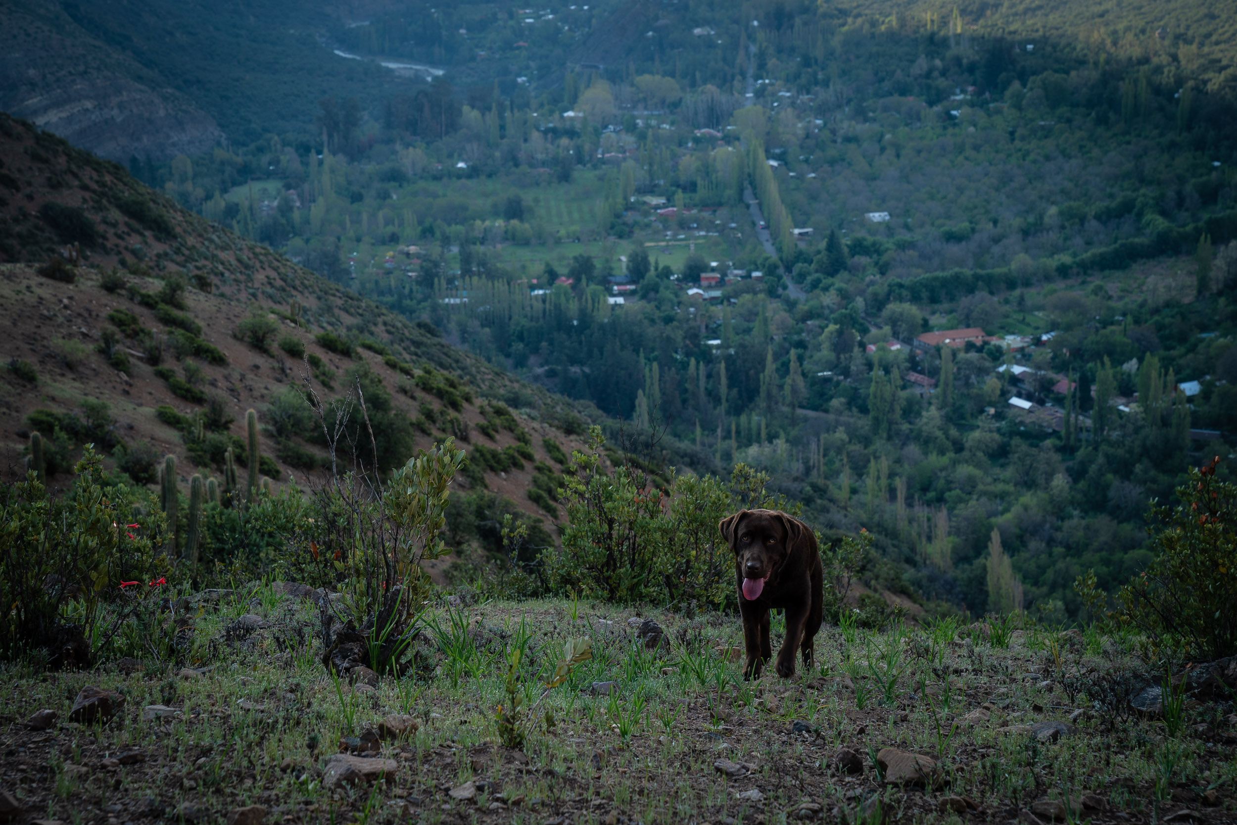 Chile