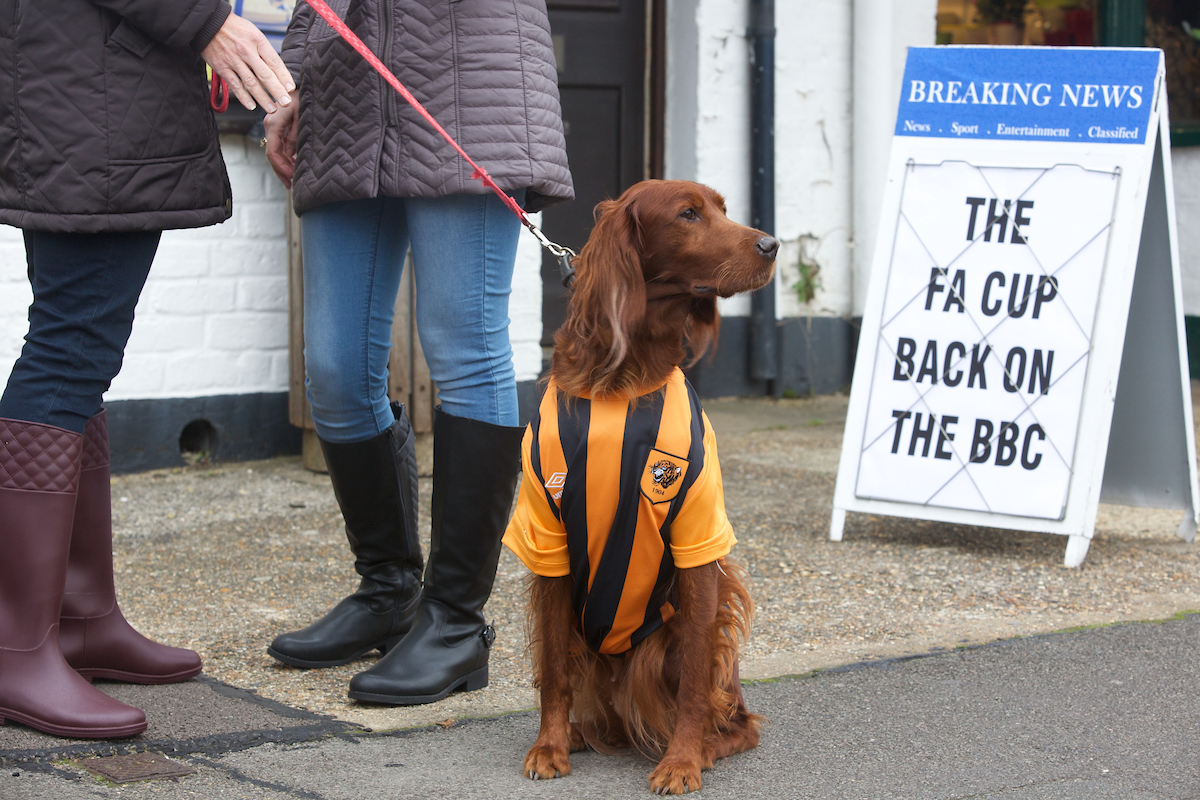 FA Cup back on the BBC Trailer - 2015 BBC