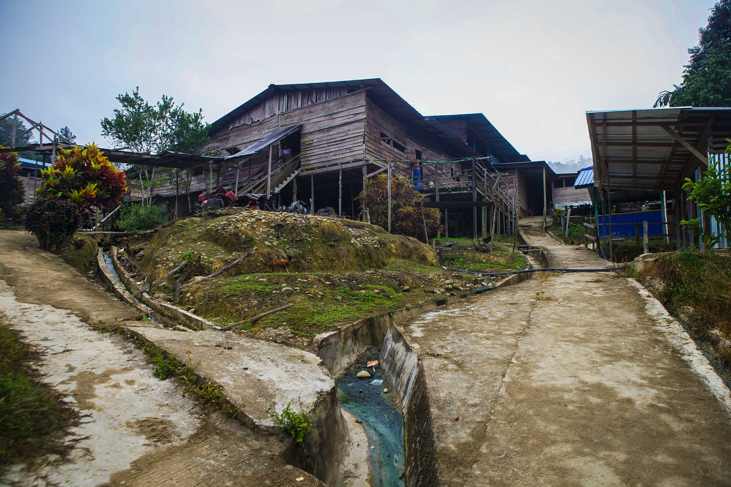 The Iban of Borneo