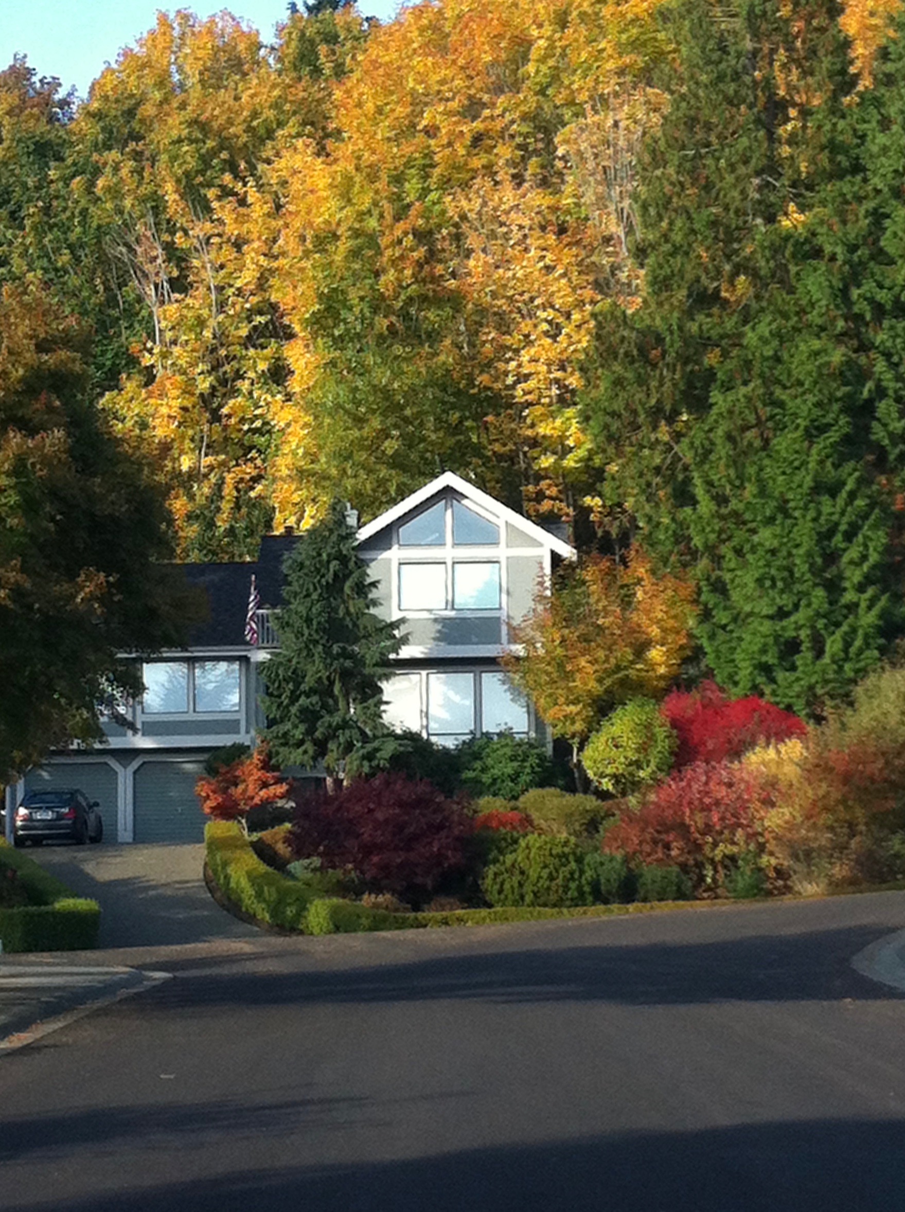 Shavey house before.jpeg