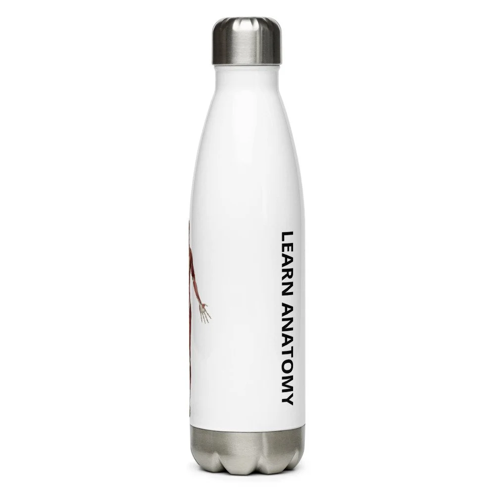 stainless-steel-water-bottle-white-17oz-left-61a3f10cbefbb.jpg
