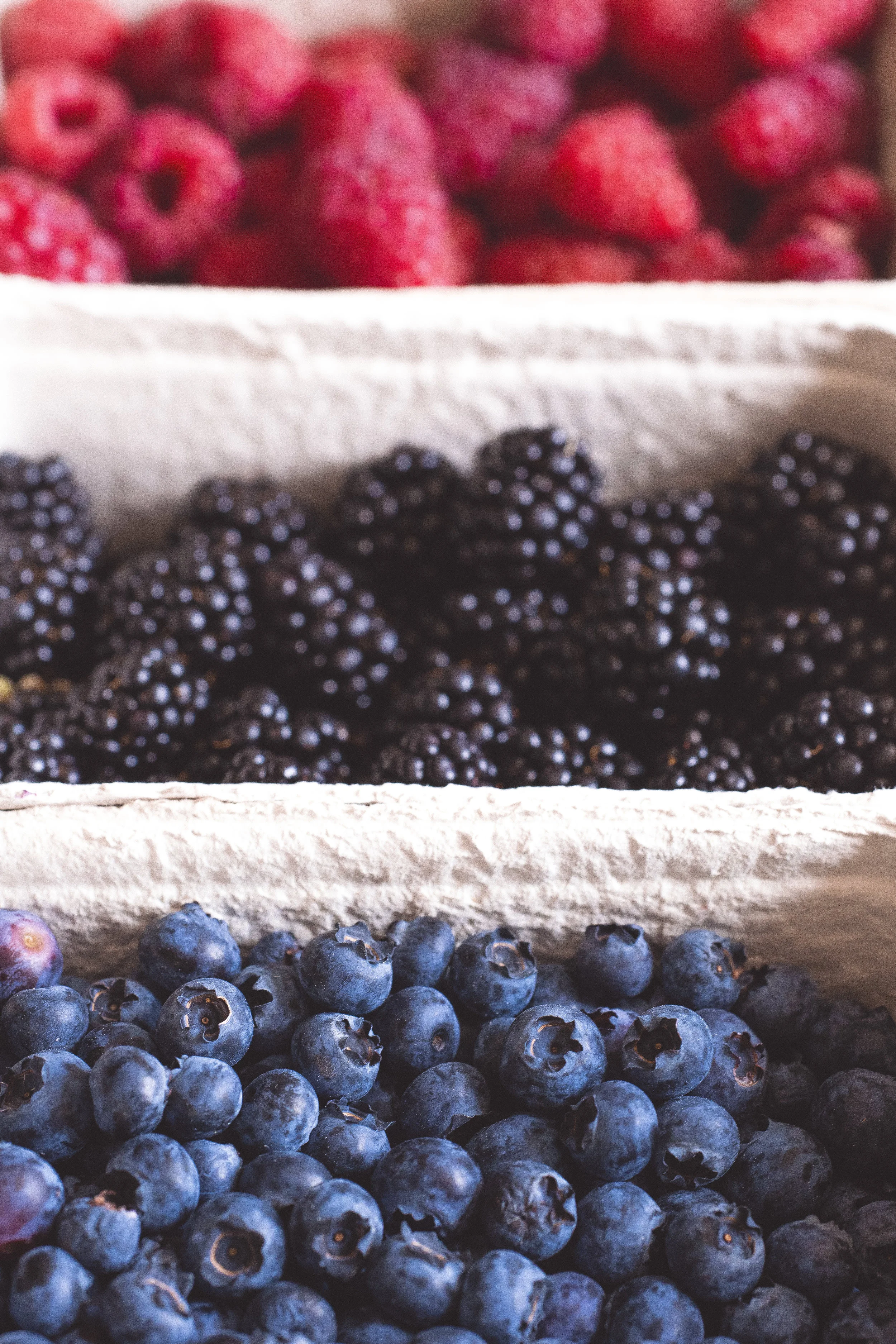 My Favorite Super Foods for Maximizing Health, Fat Loss and Energy