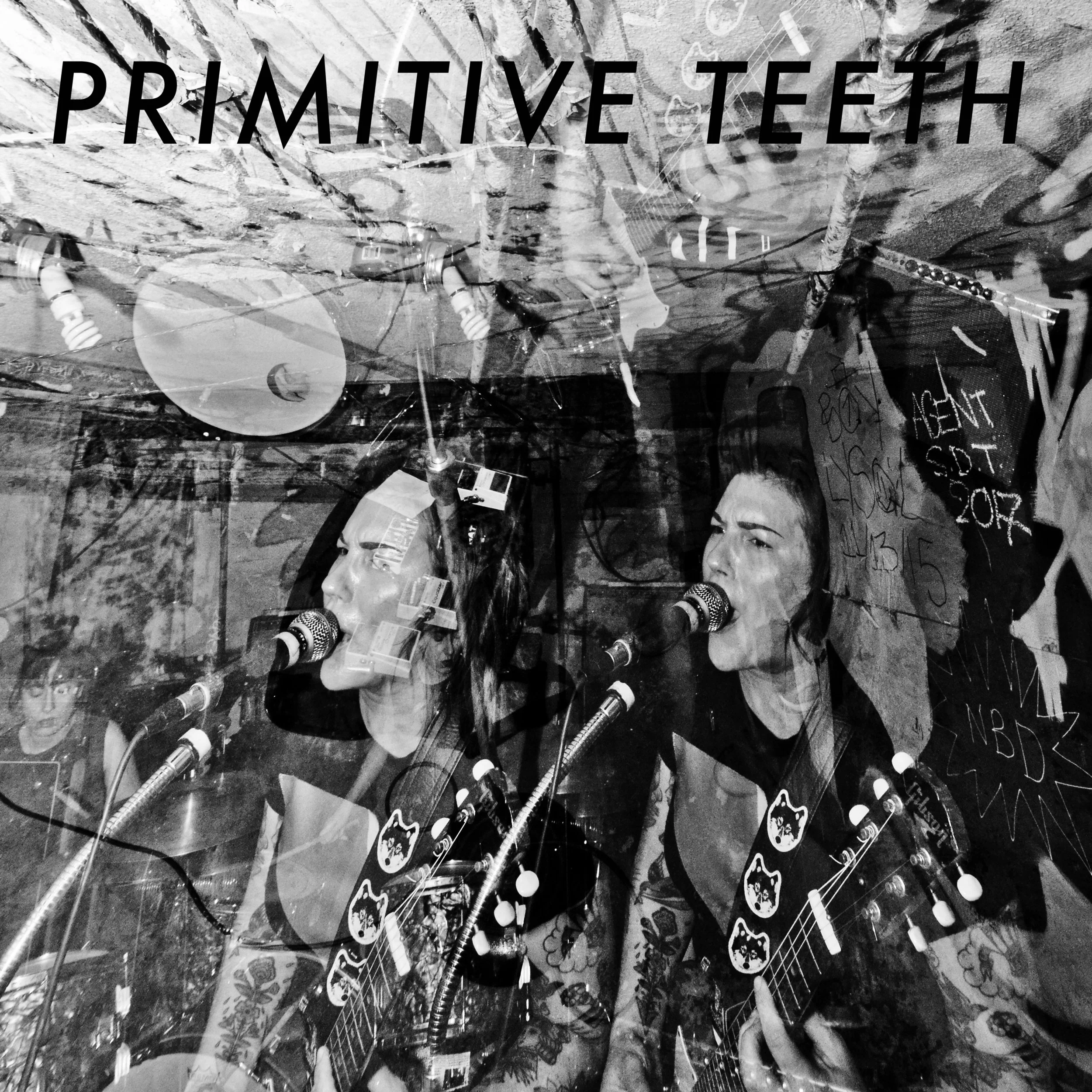 PRIMITIVE TEETH