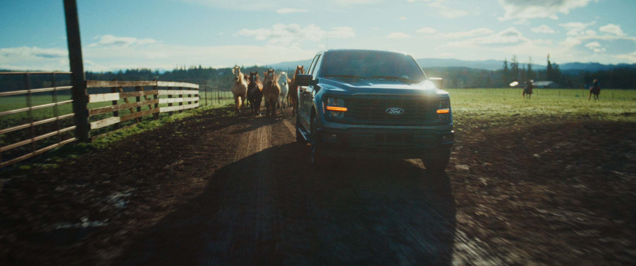 Ford F150 "Wild" 30