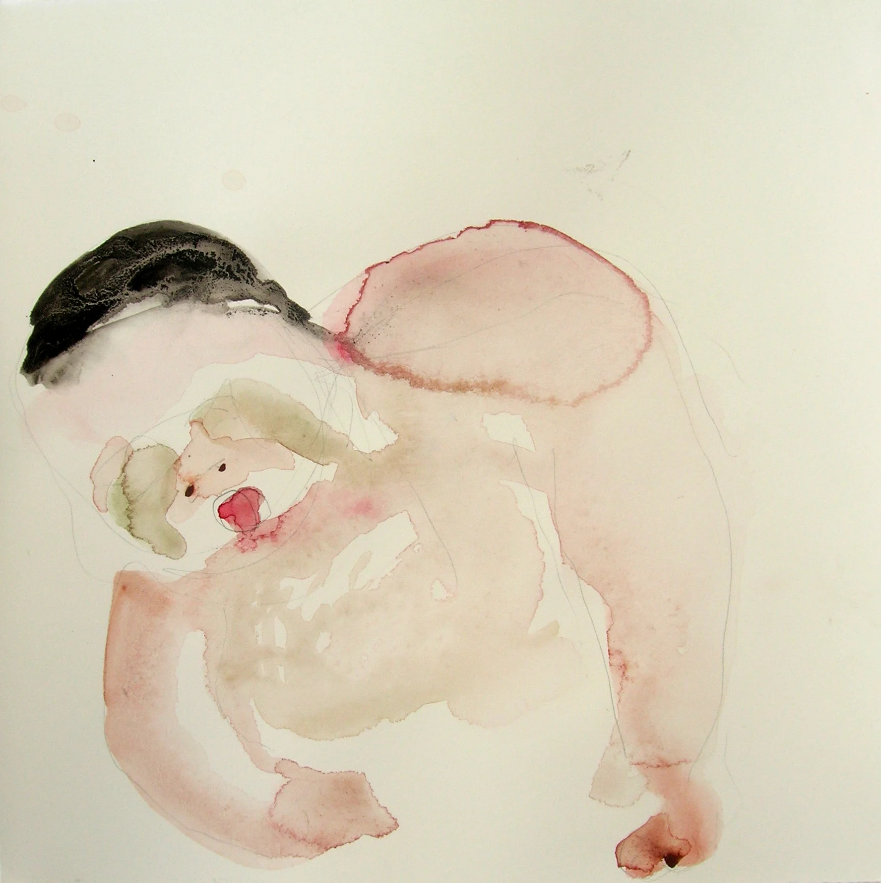 Sentar 25, 2007, Graphite and watercolor on paper, 13 X 12 in.