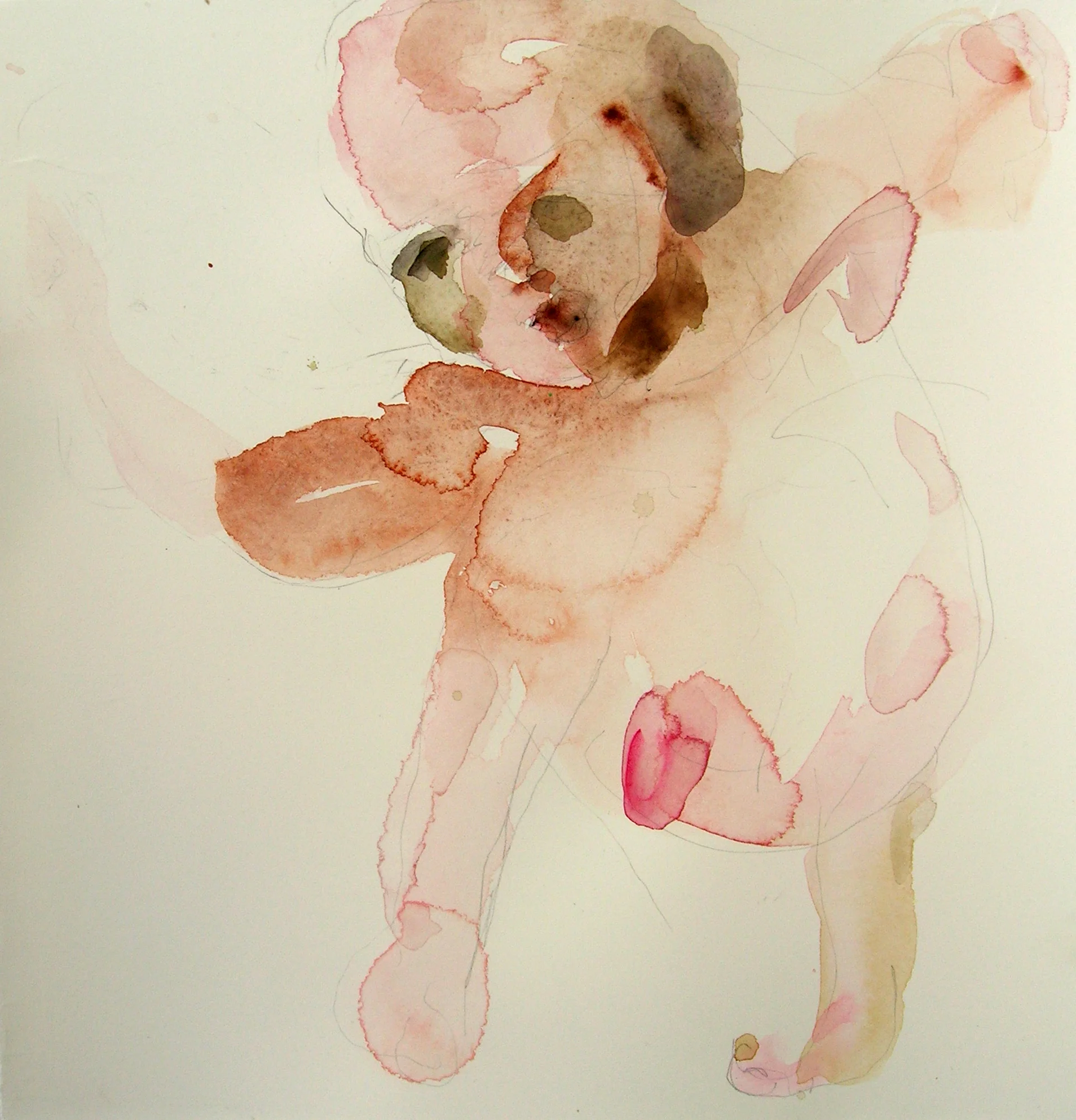 Sentar 28, 2007, Graphite and watercolor on paper, 13 X 12 in.