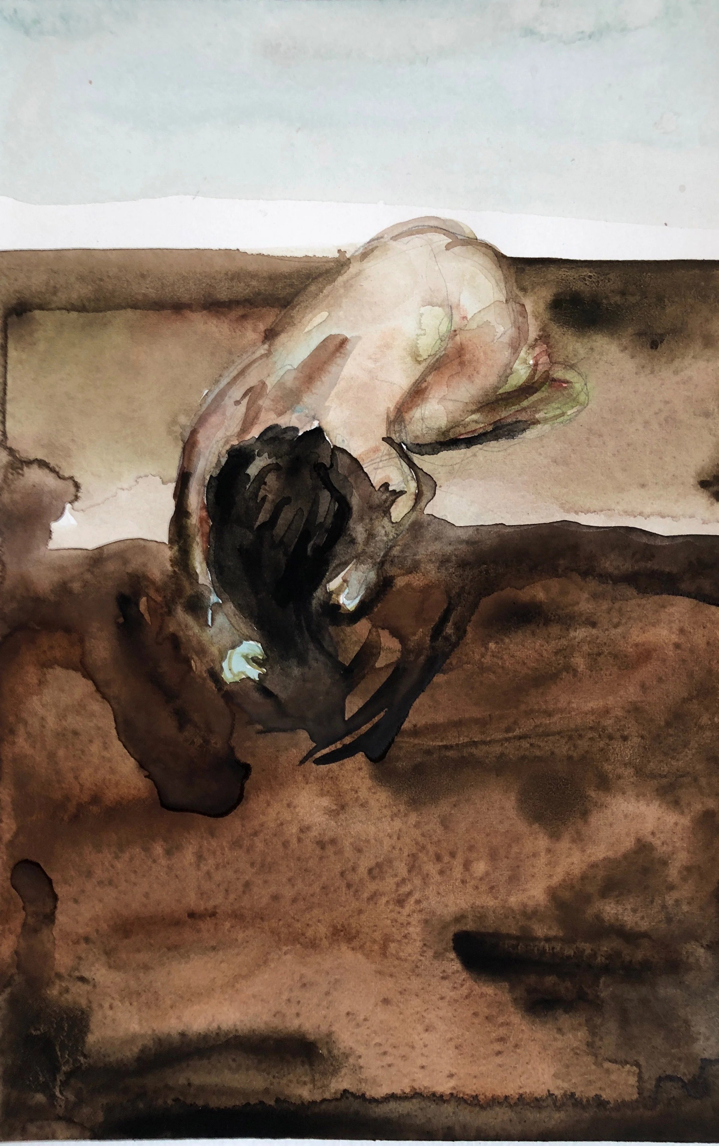 Dirt Scratcher, 2017, Graphite and watercolor on paper, 5 1/2 x 7 1/2 in.