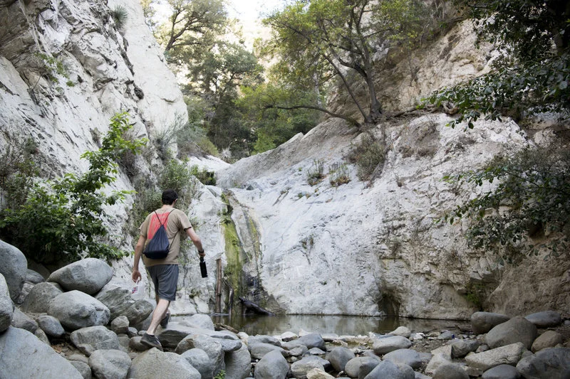 Bear Canyon