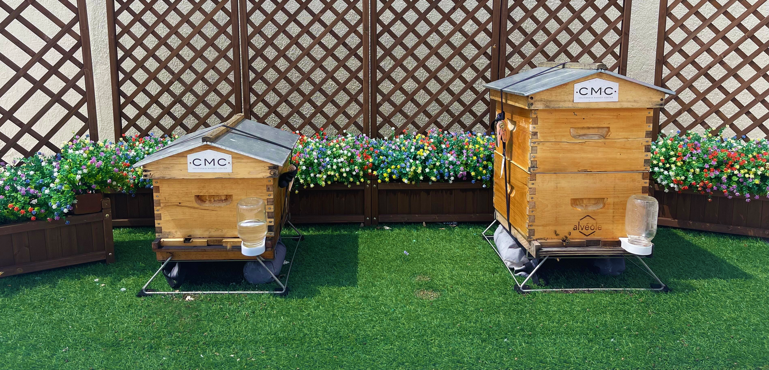 cmchoneybees.png
