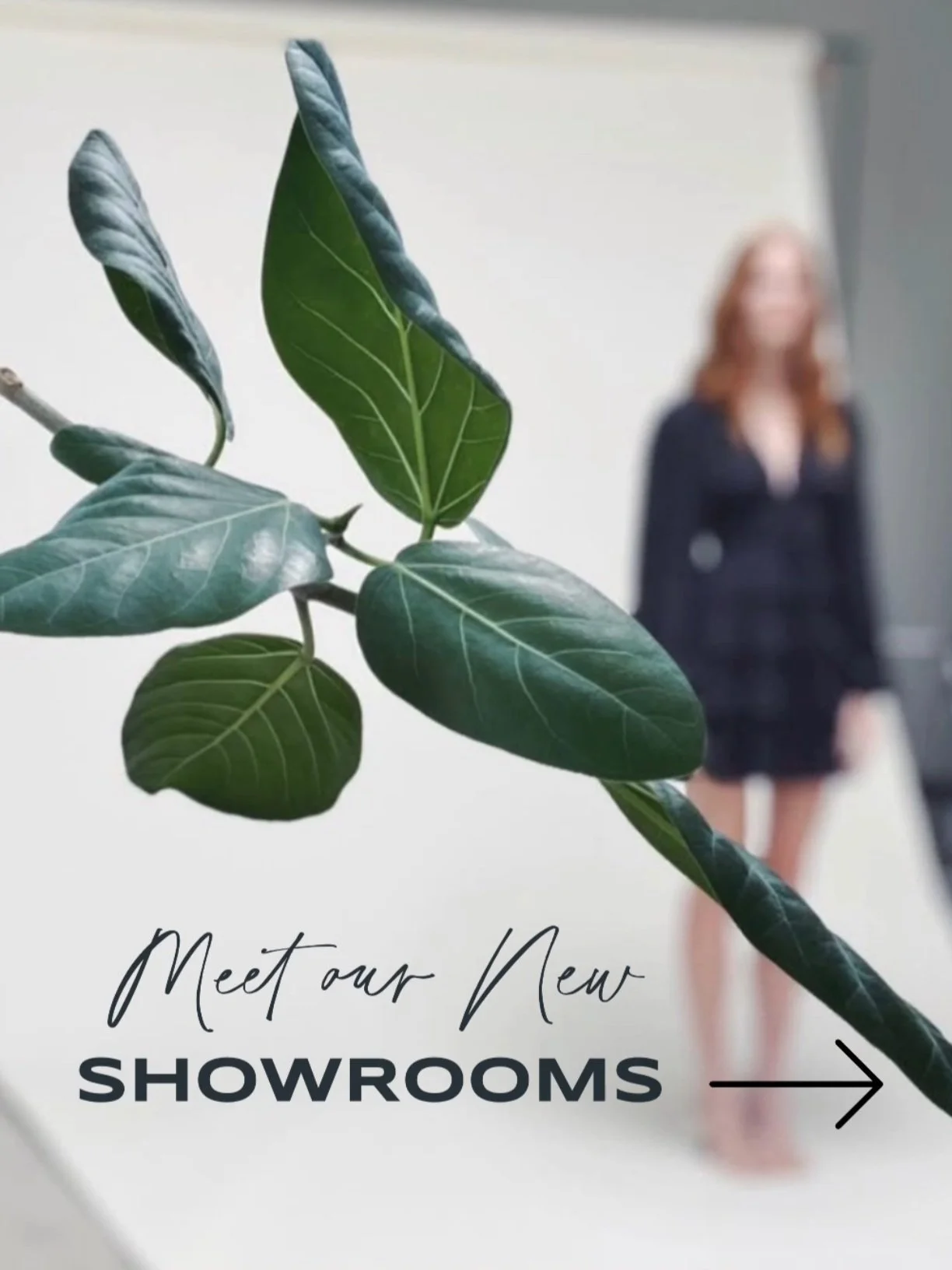 meetnewshowrooms.jpg